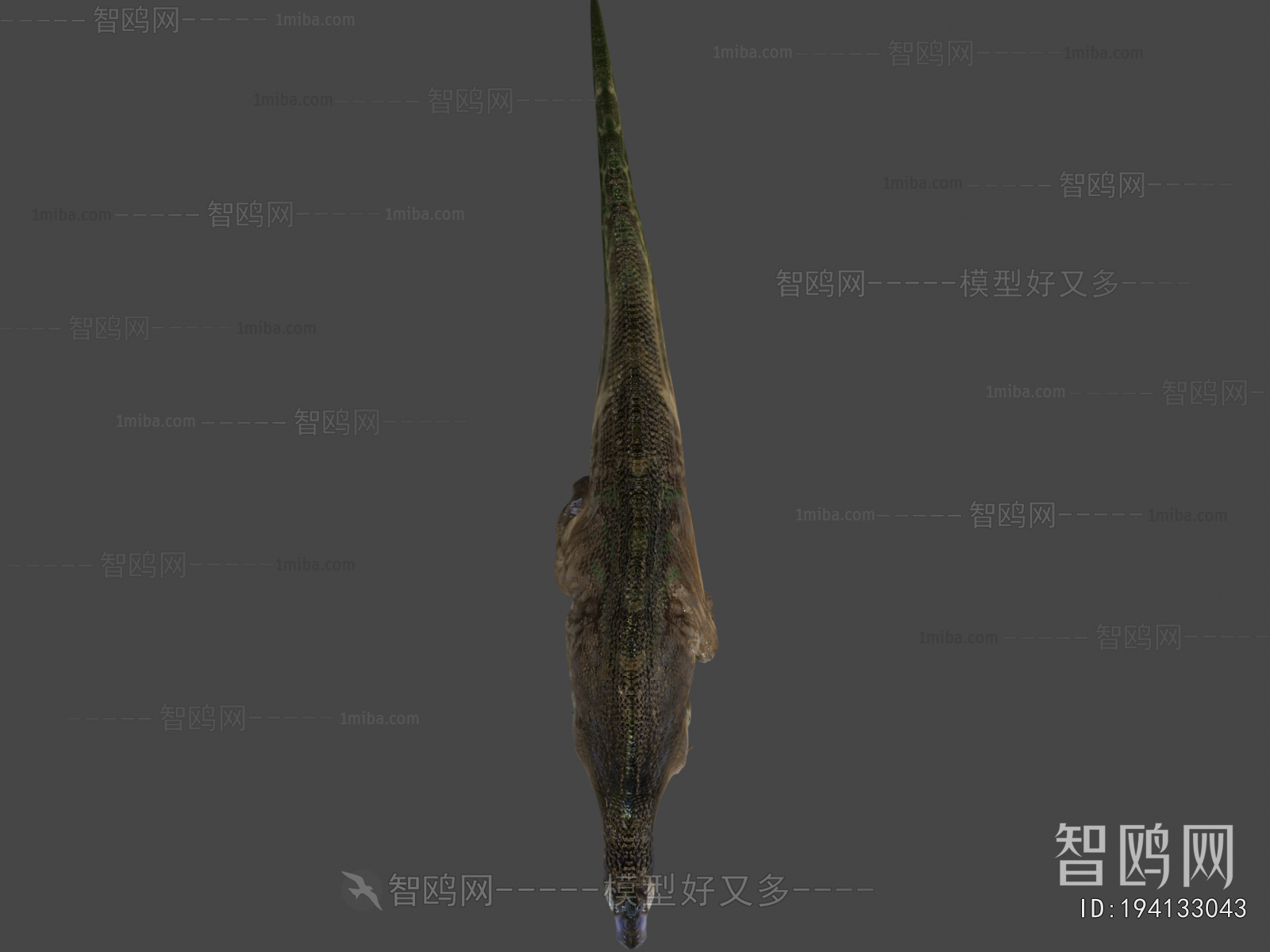 Modern Animal