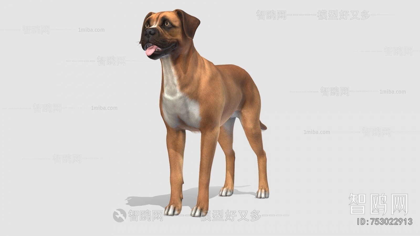Modern Animal Dog