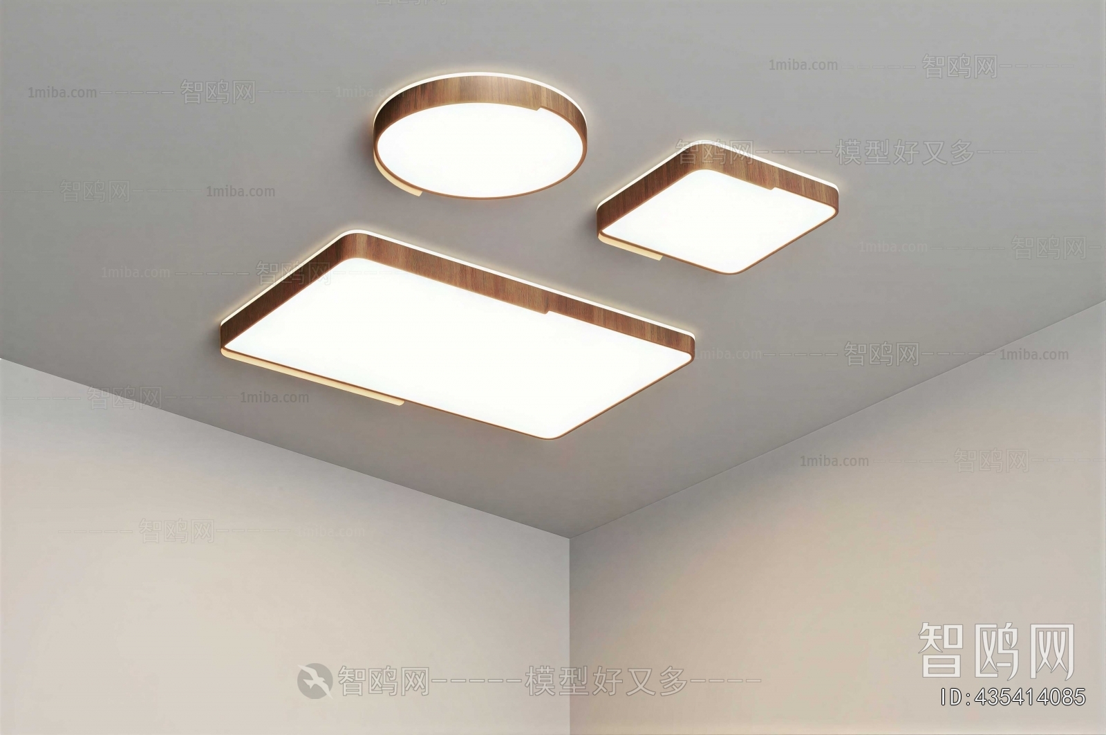 Modern Ceiling Ceiling Lamp