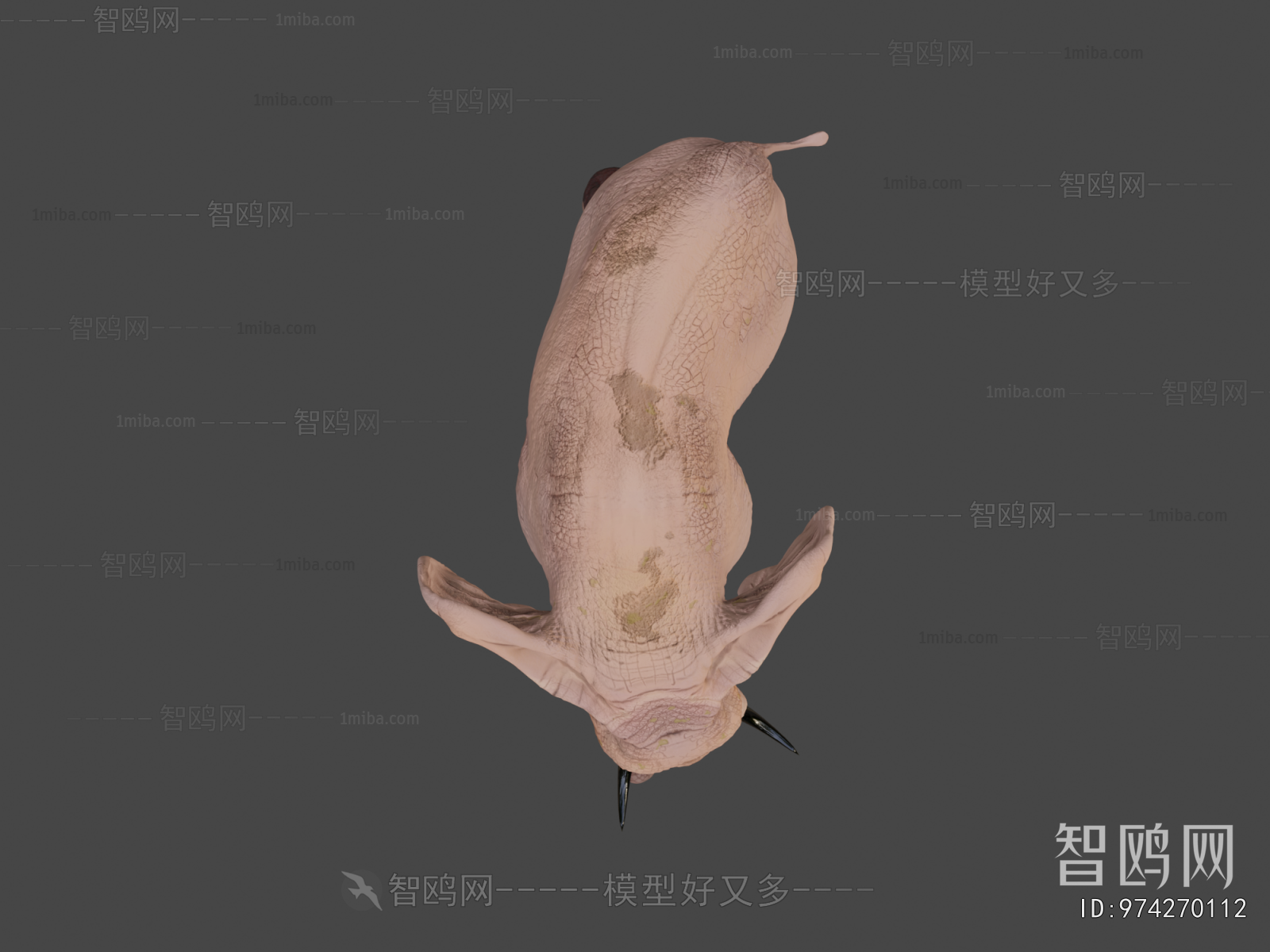 Modern Mammal