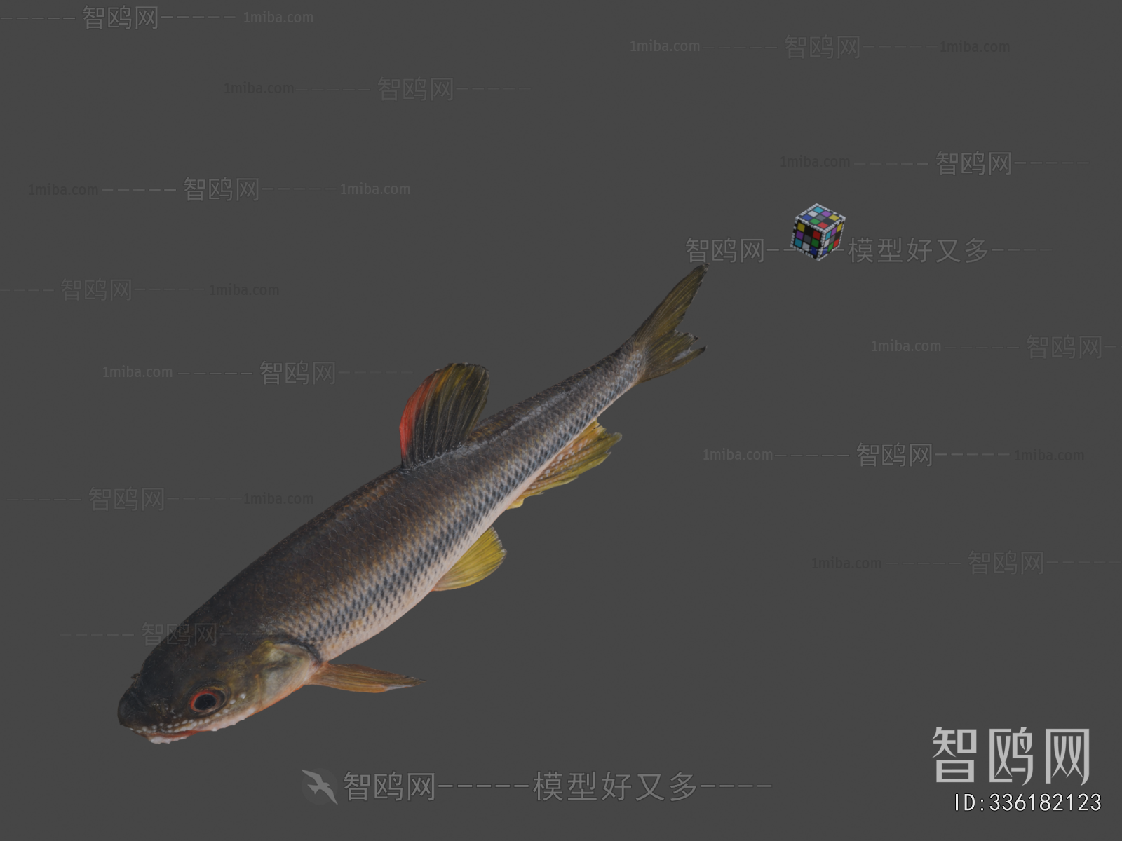 Modern Aquatic Animals