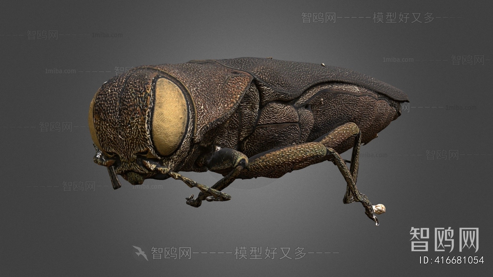 Modern Animal