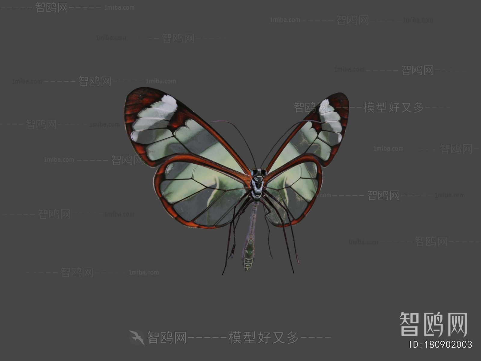Modern Animal