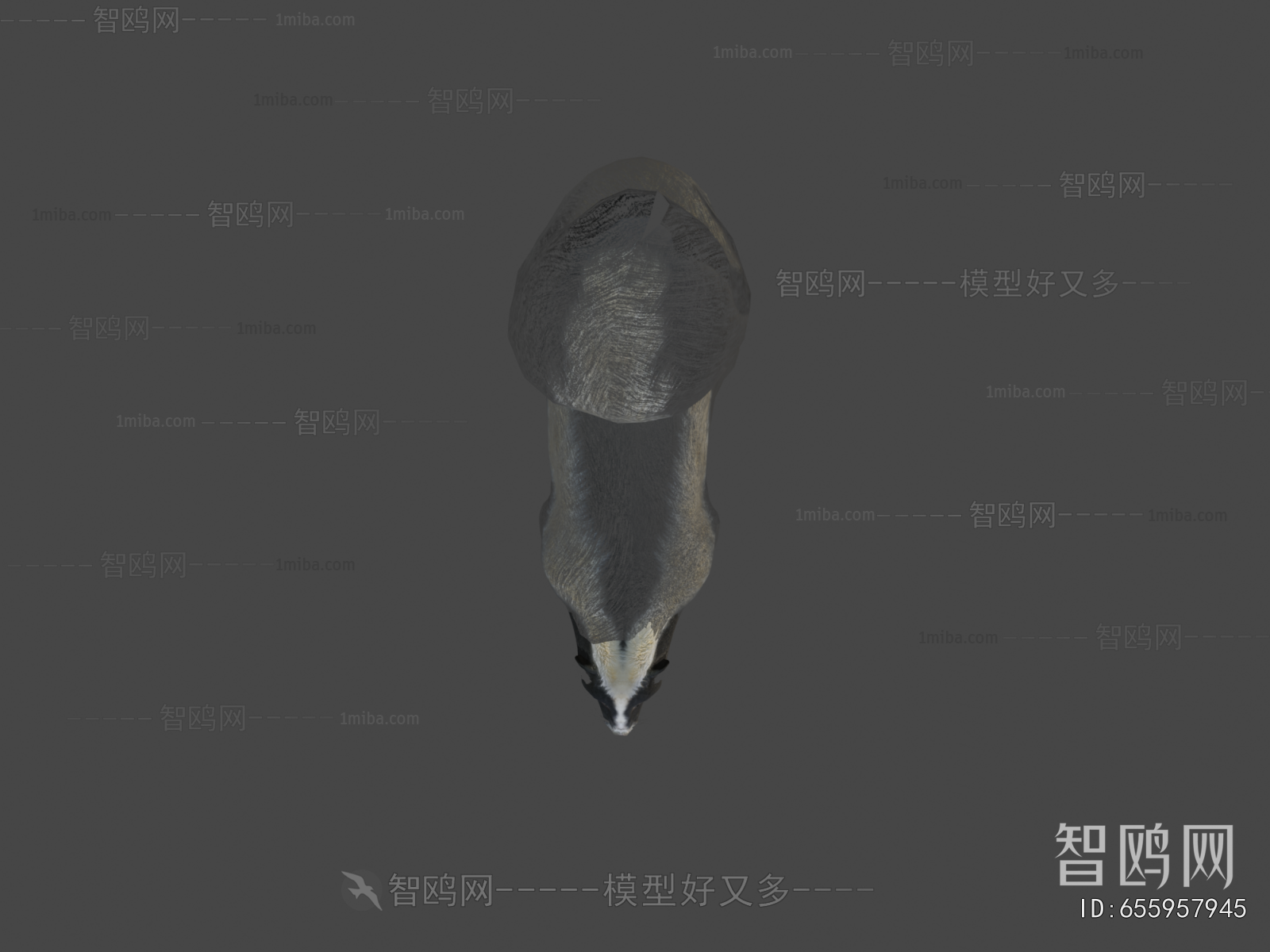 Modern Animal