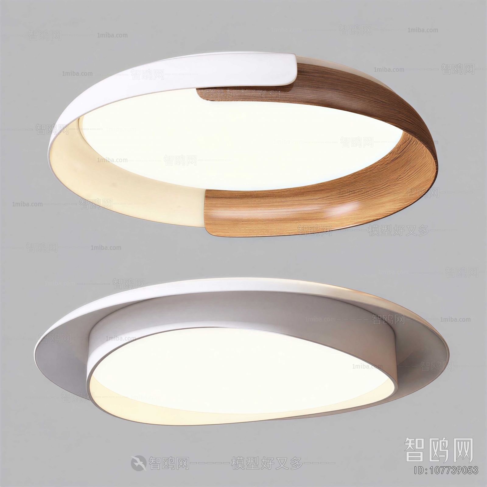 Modern Ceiling Ceiling Lamp