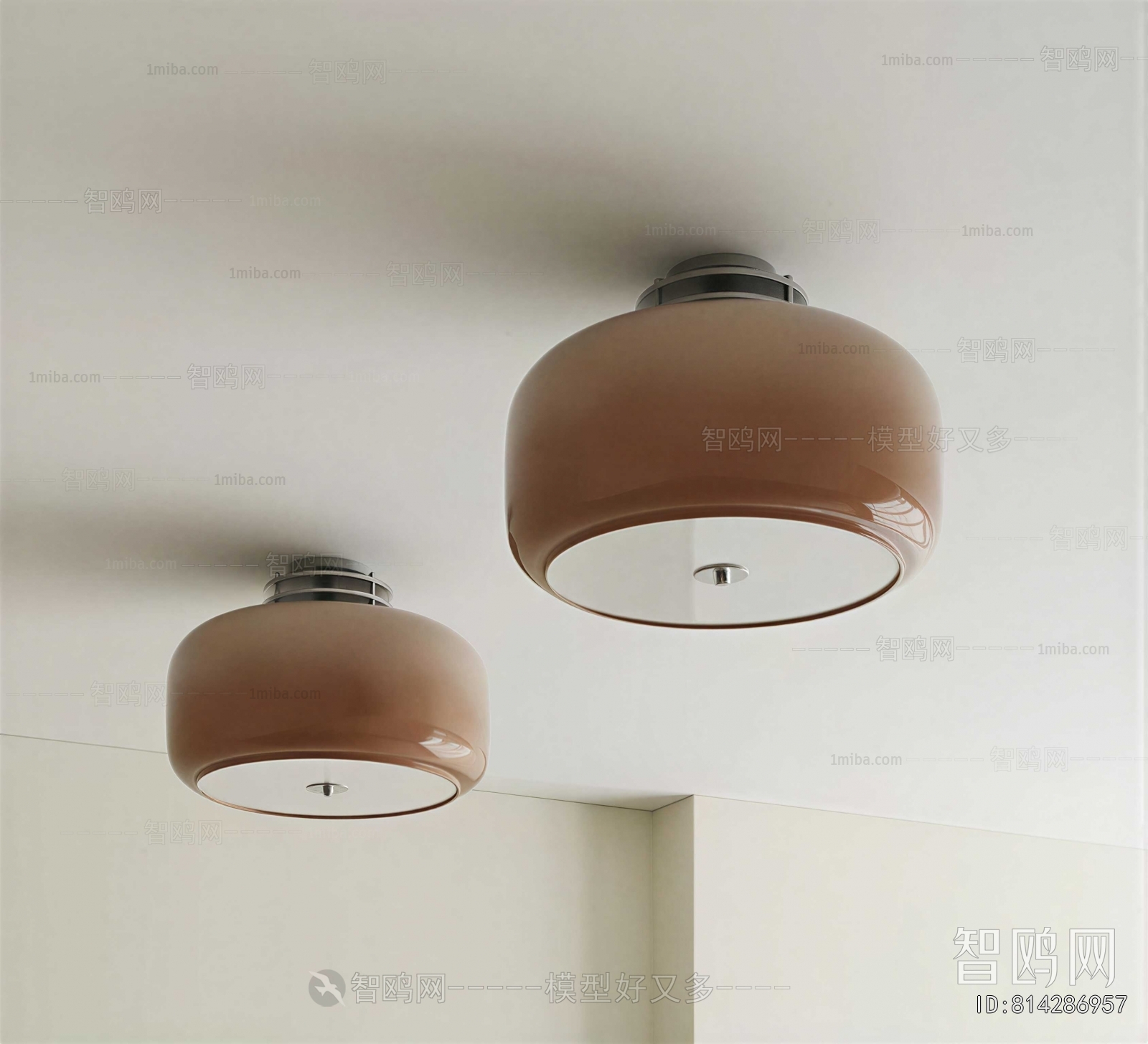 Modern Ceiling Ceiling Lamp