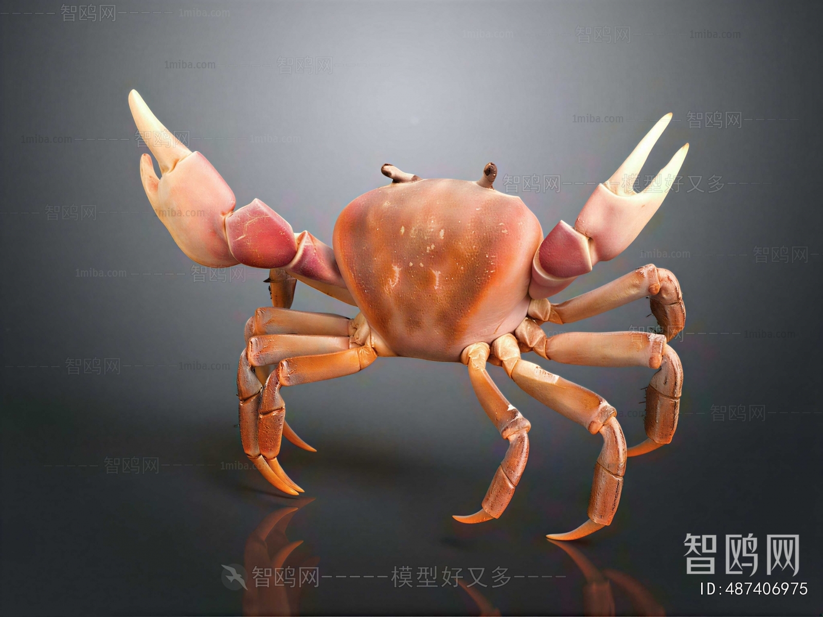 Modern Aquatic Animals