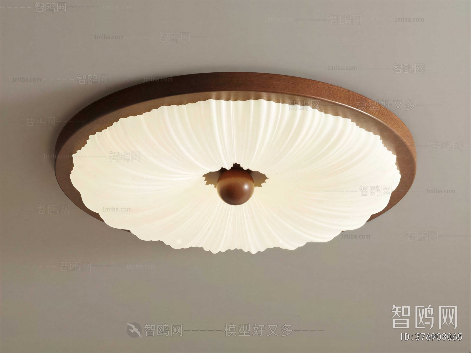 Modern Ceiling Ceiling Lamp