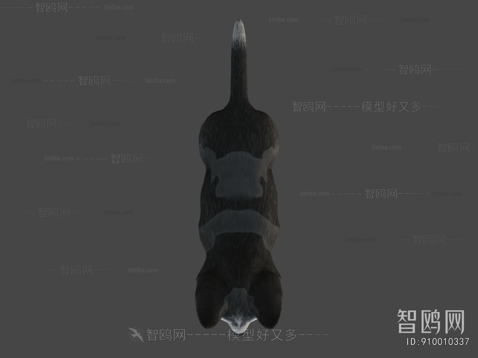 Modern Animal