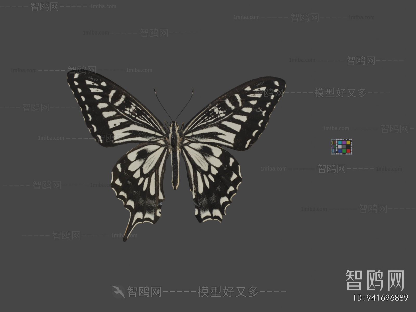 Modern Animal