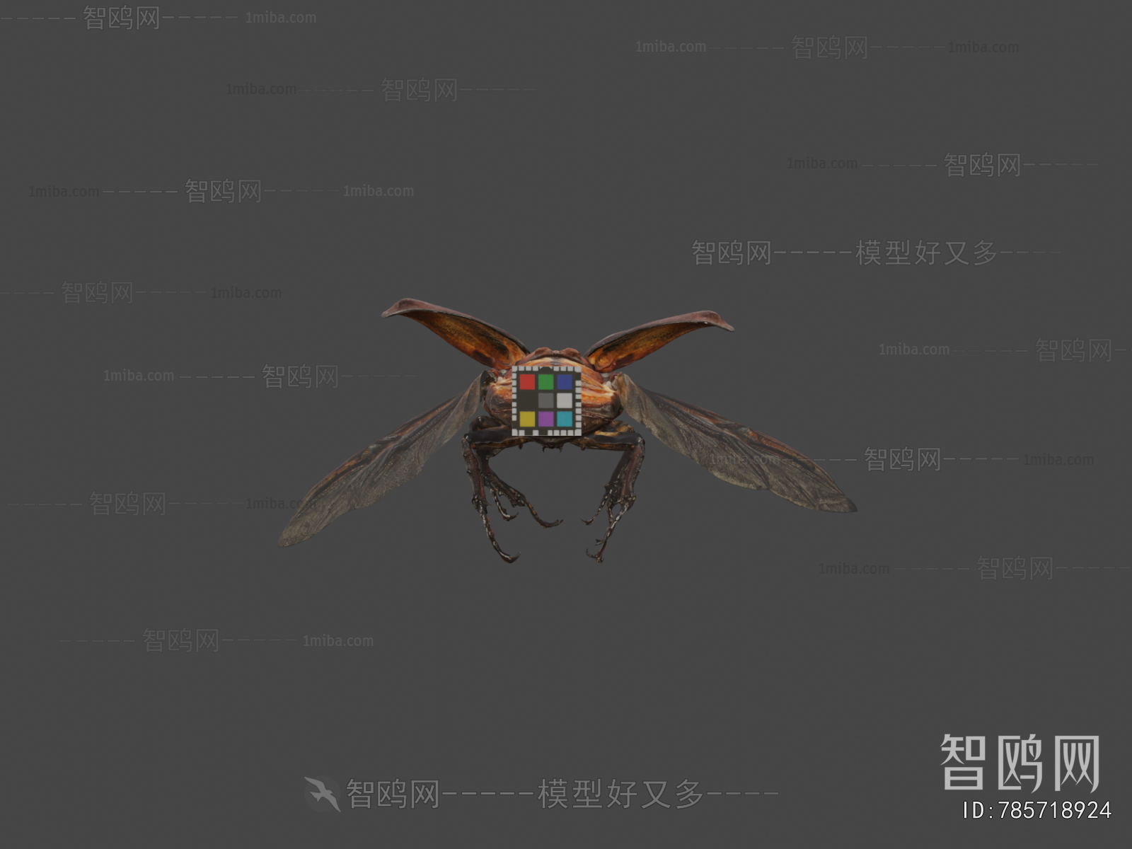 Modern Animal