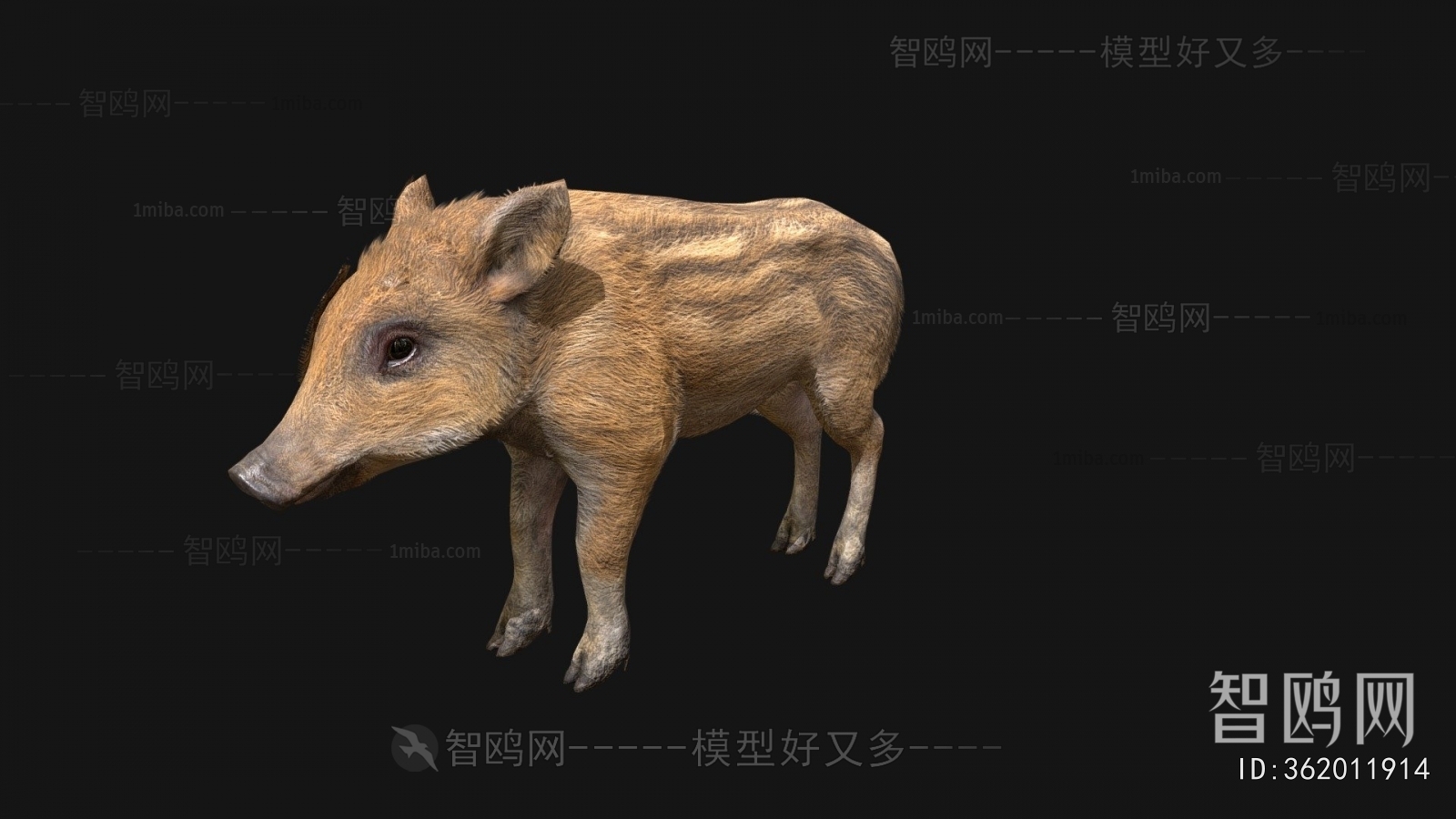 Modern Mammal