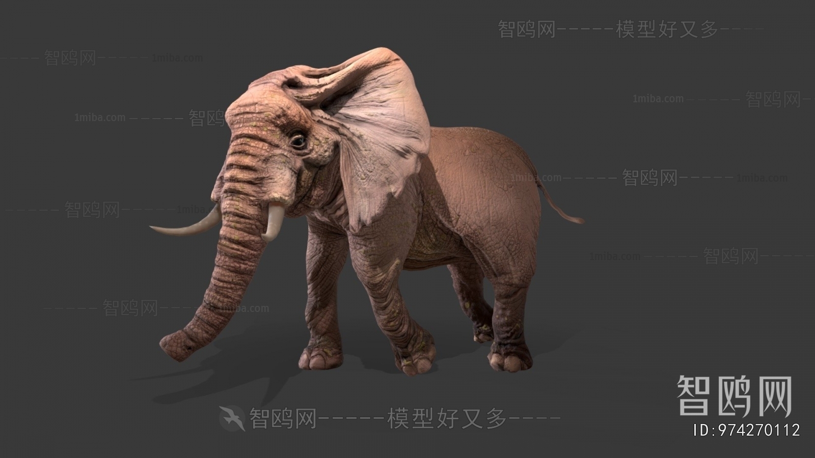 Modern Mammal