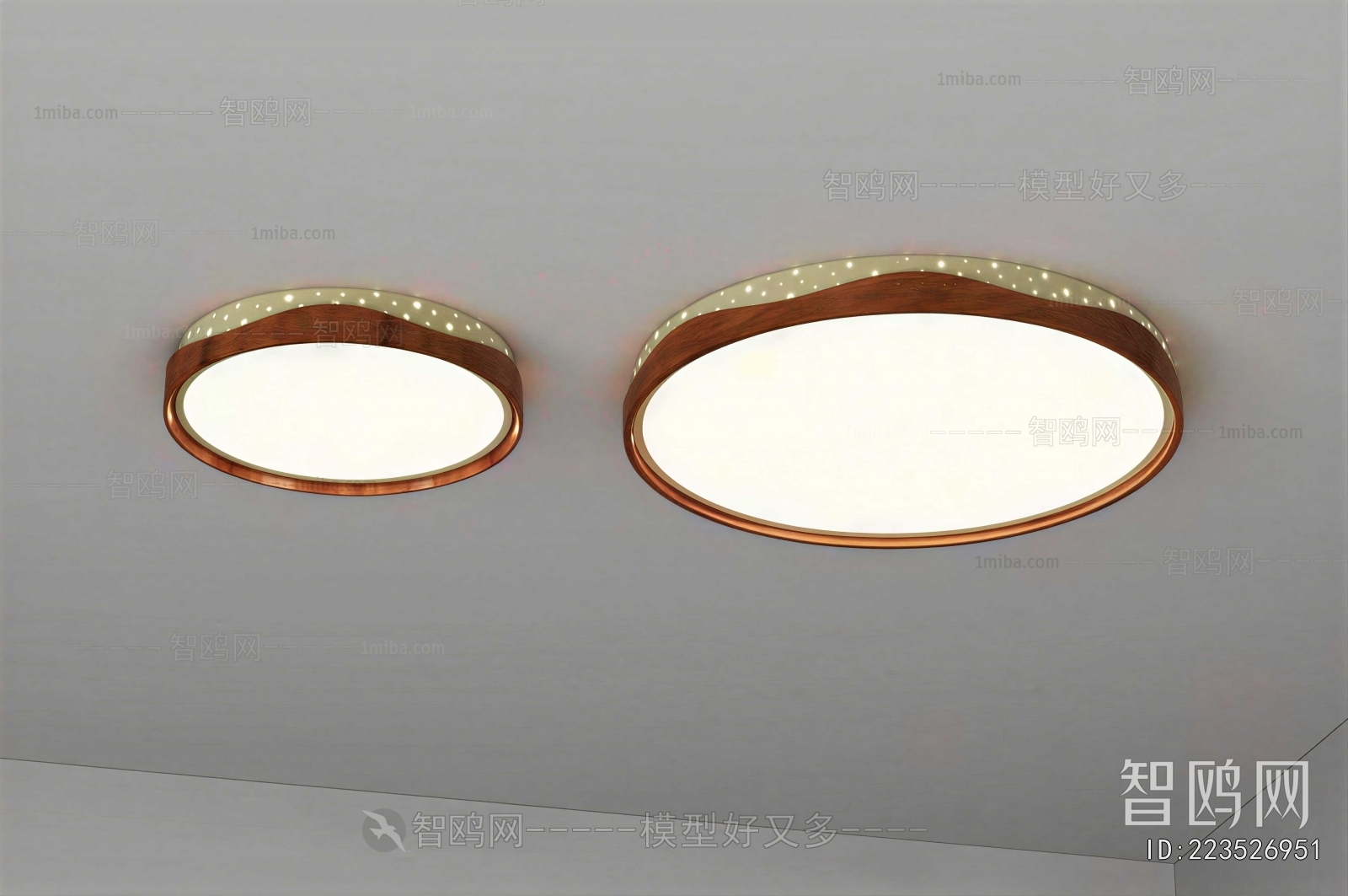 Modern Ceiling Ceiling Lamp