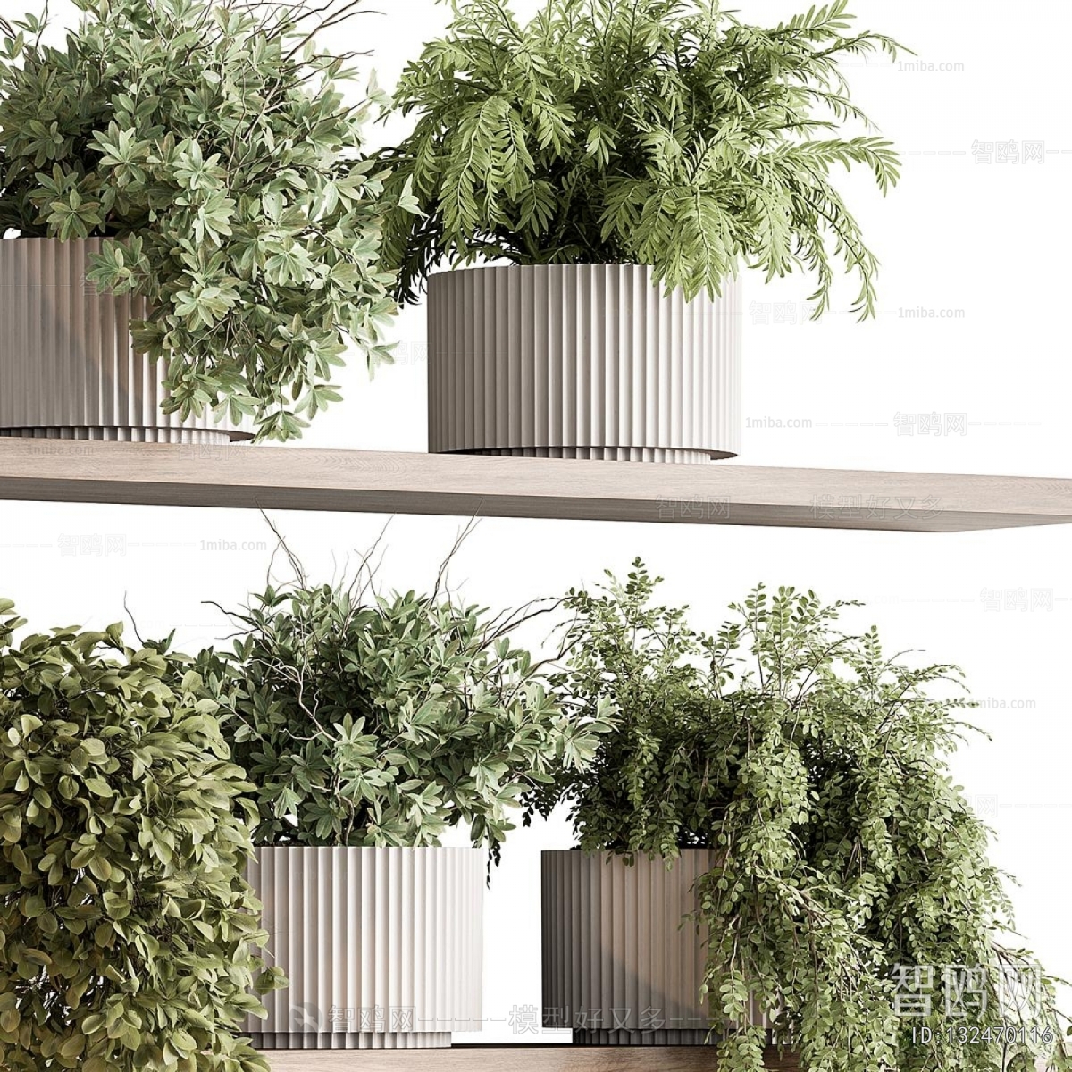 Modern Potted Green Plant