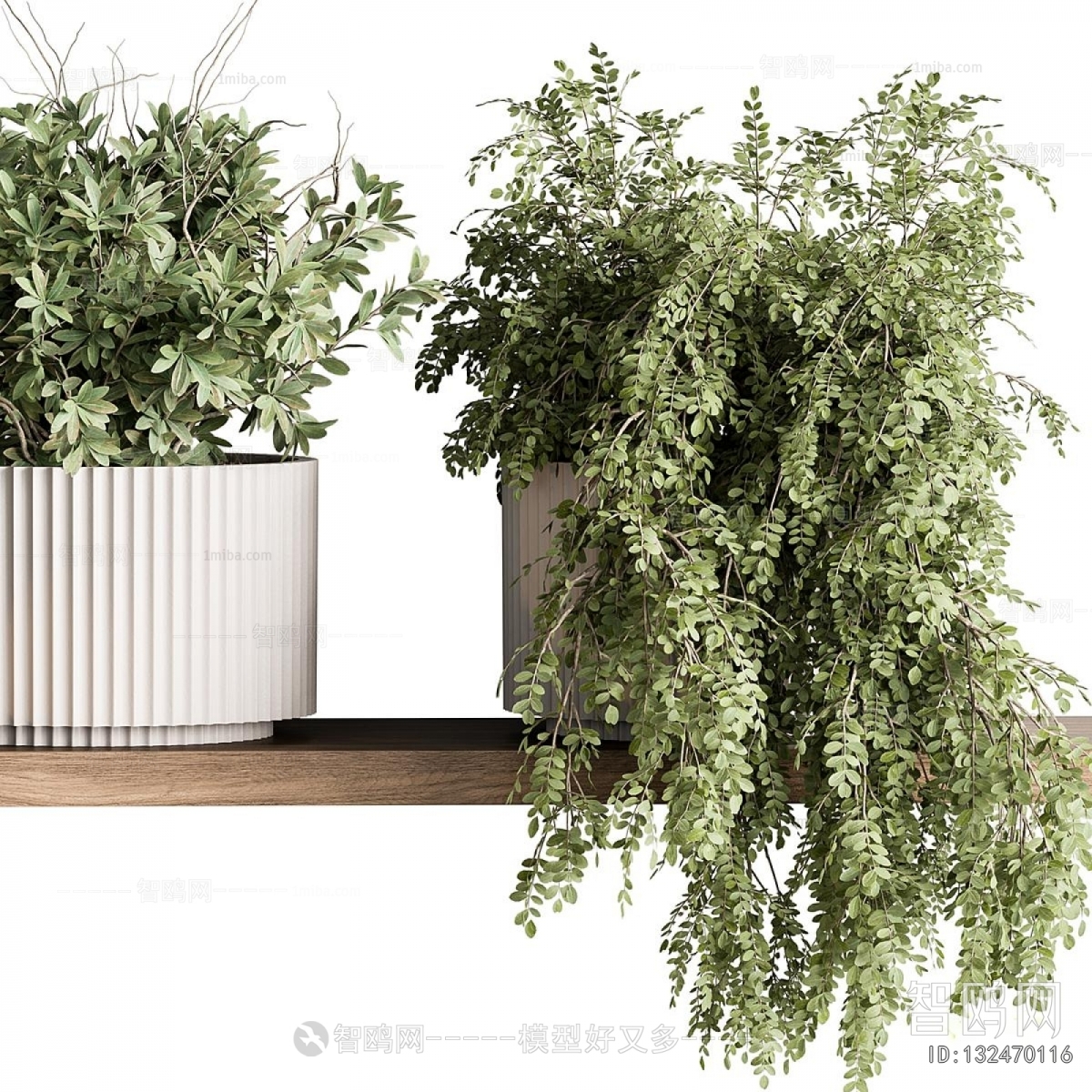 Modern Potted Green Plant