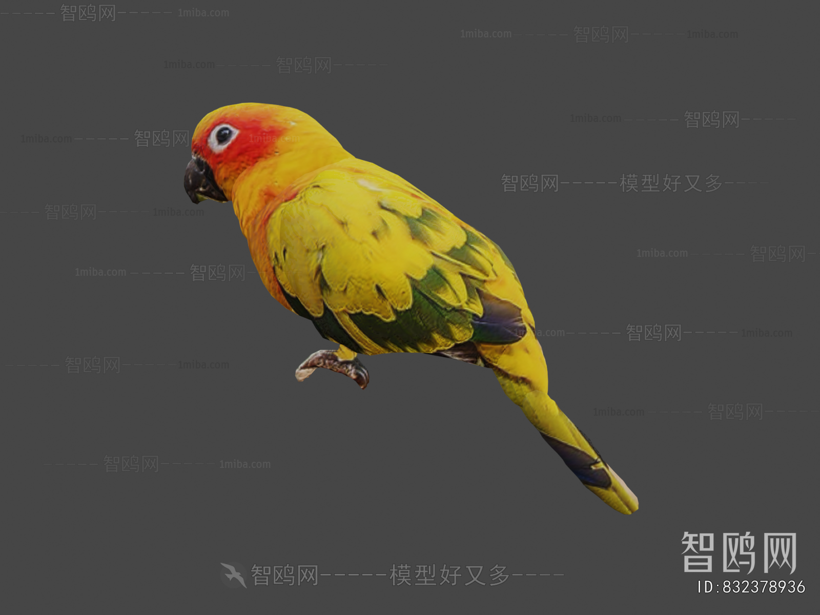 Modern Animal