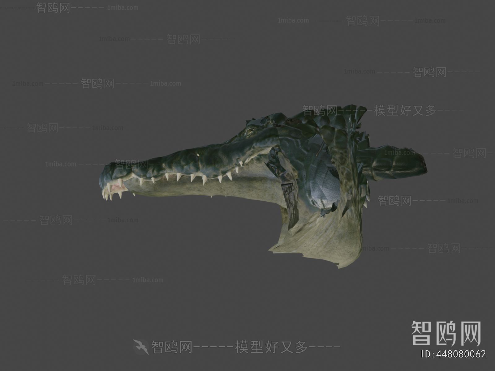 Modern Reptile