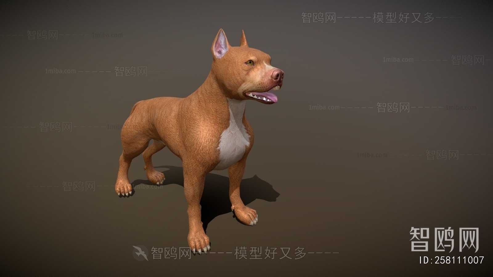 Modern Animal Dog