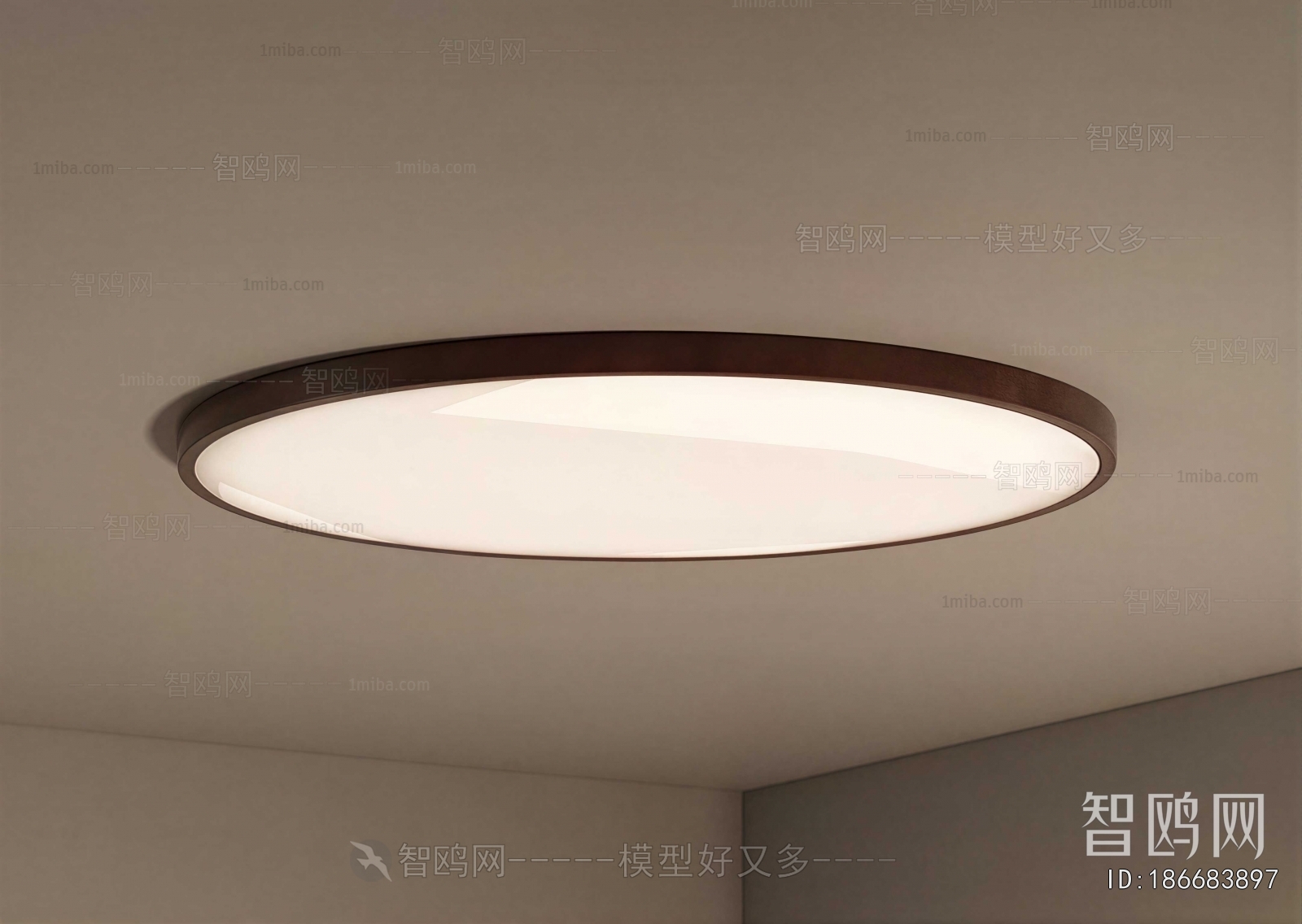 Modern Ceiling Ceiling Lamp