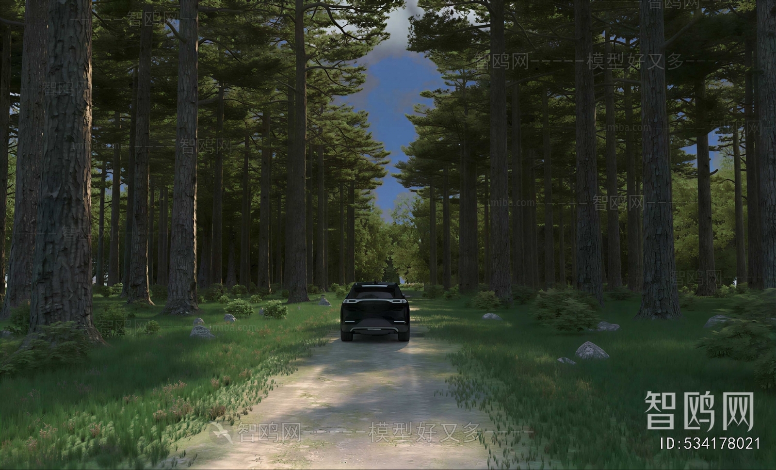Modern Landscape