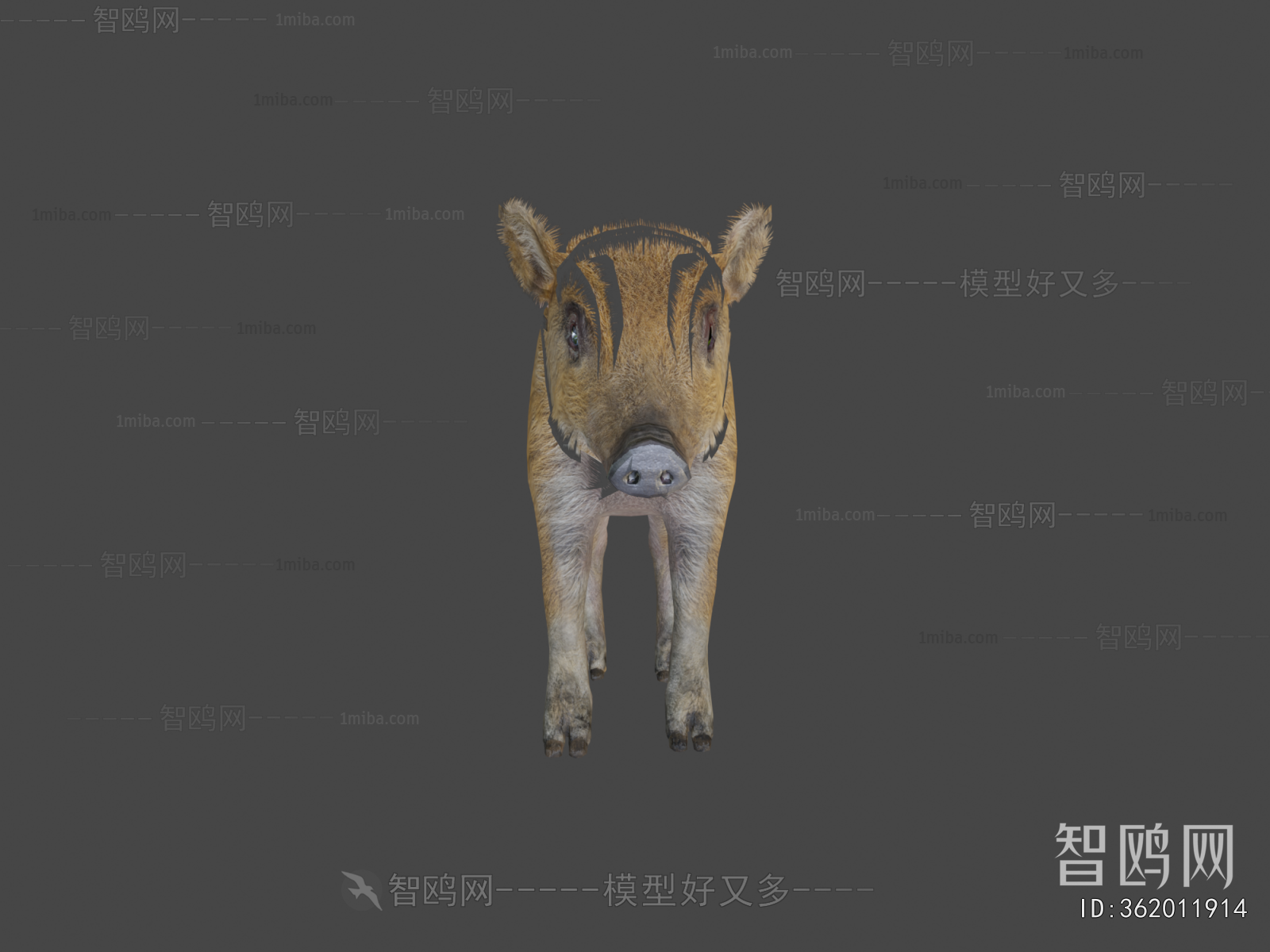 Modern Mammal