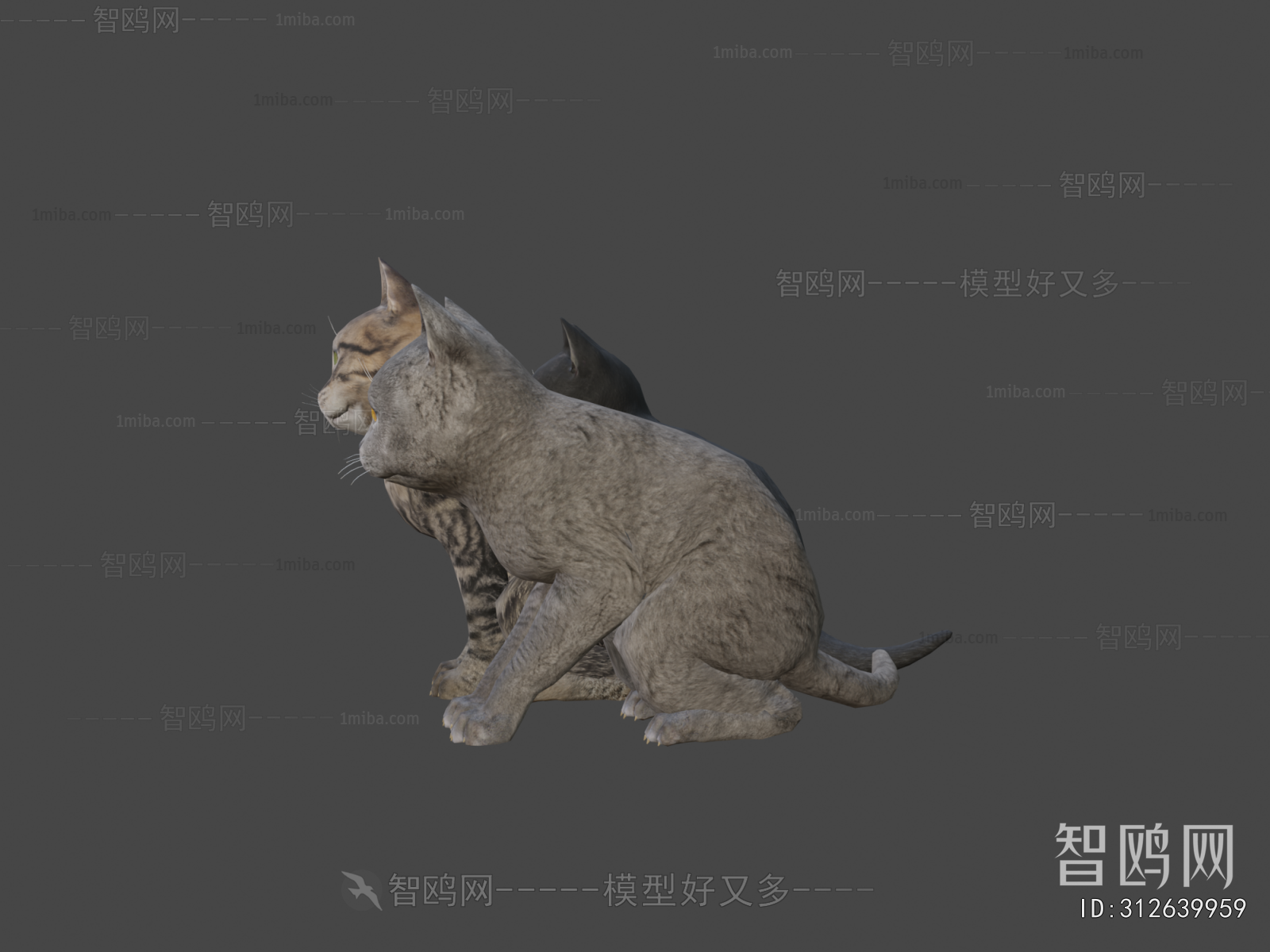 Modern Animal