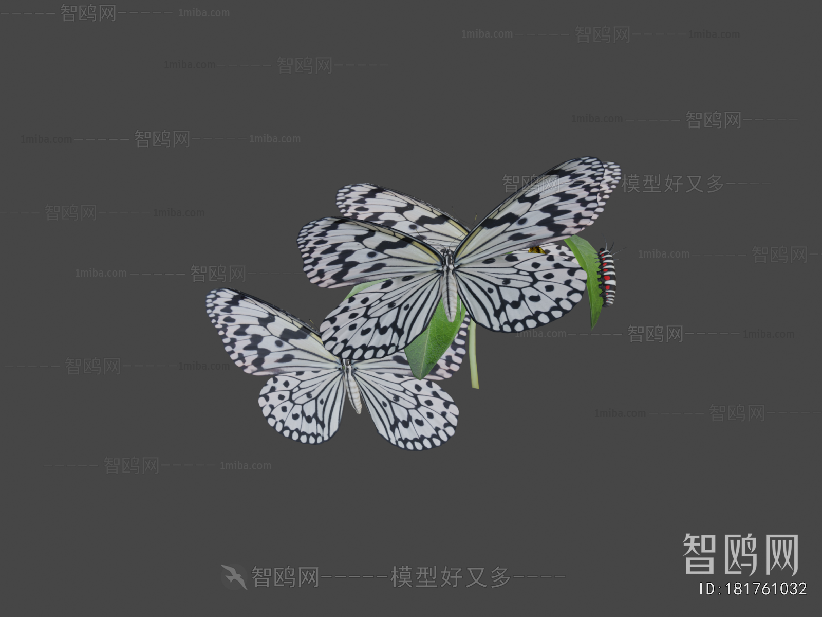Modern Flying Animals