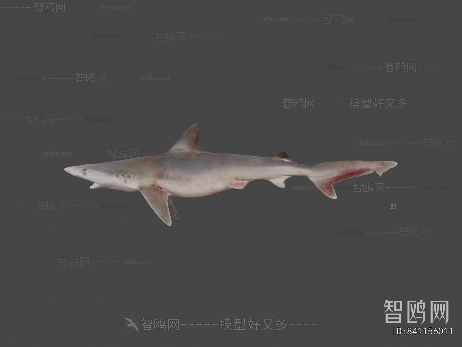 Modern Animal