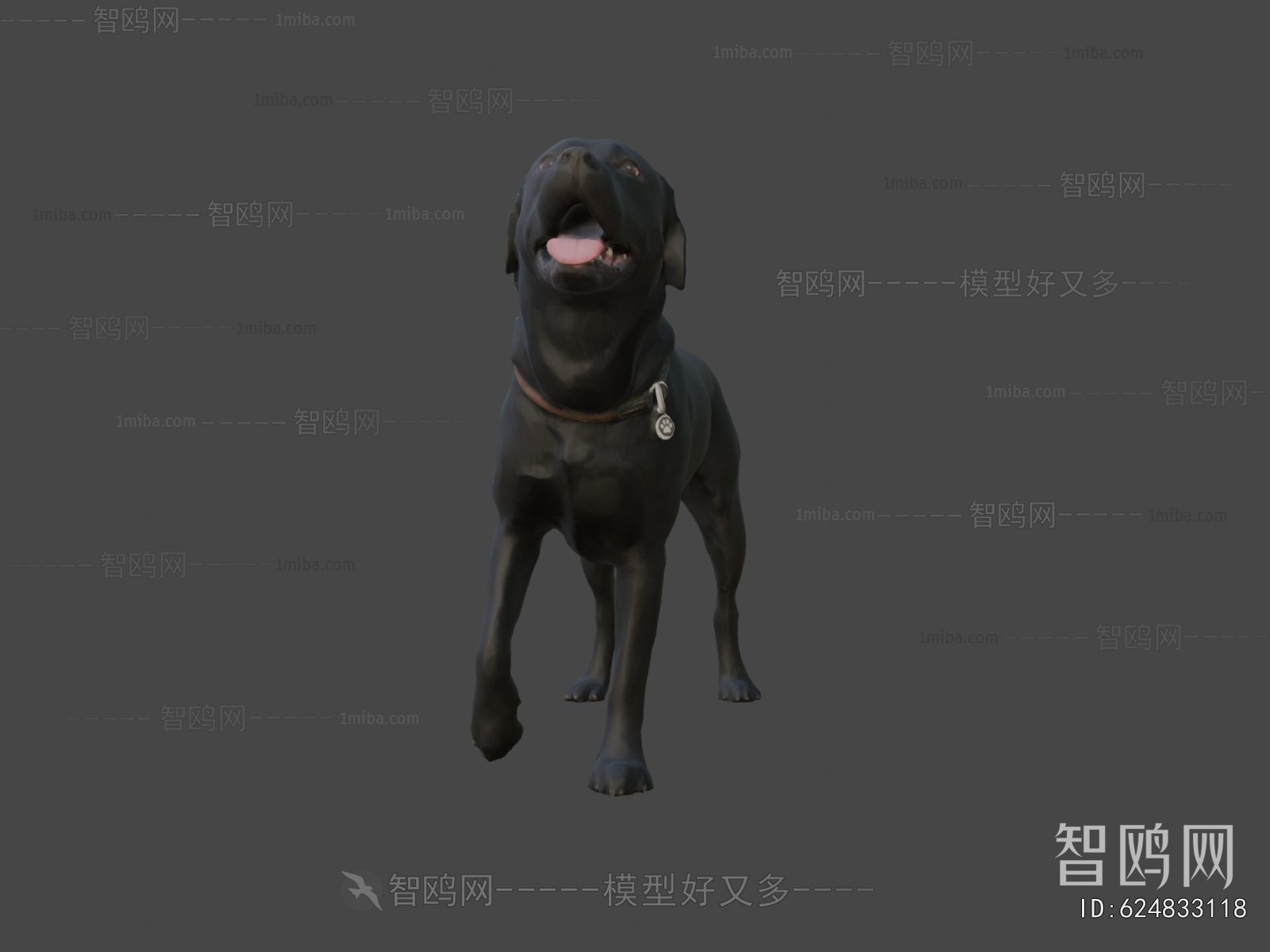 Modern Animal Dog