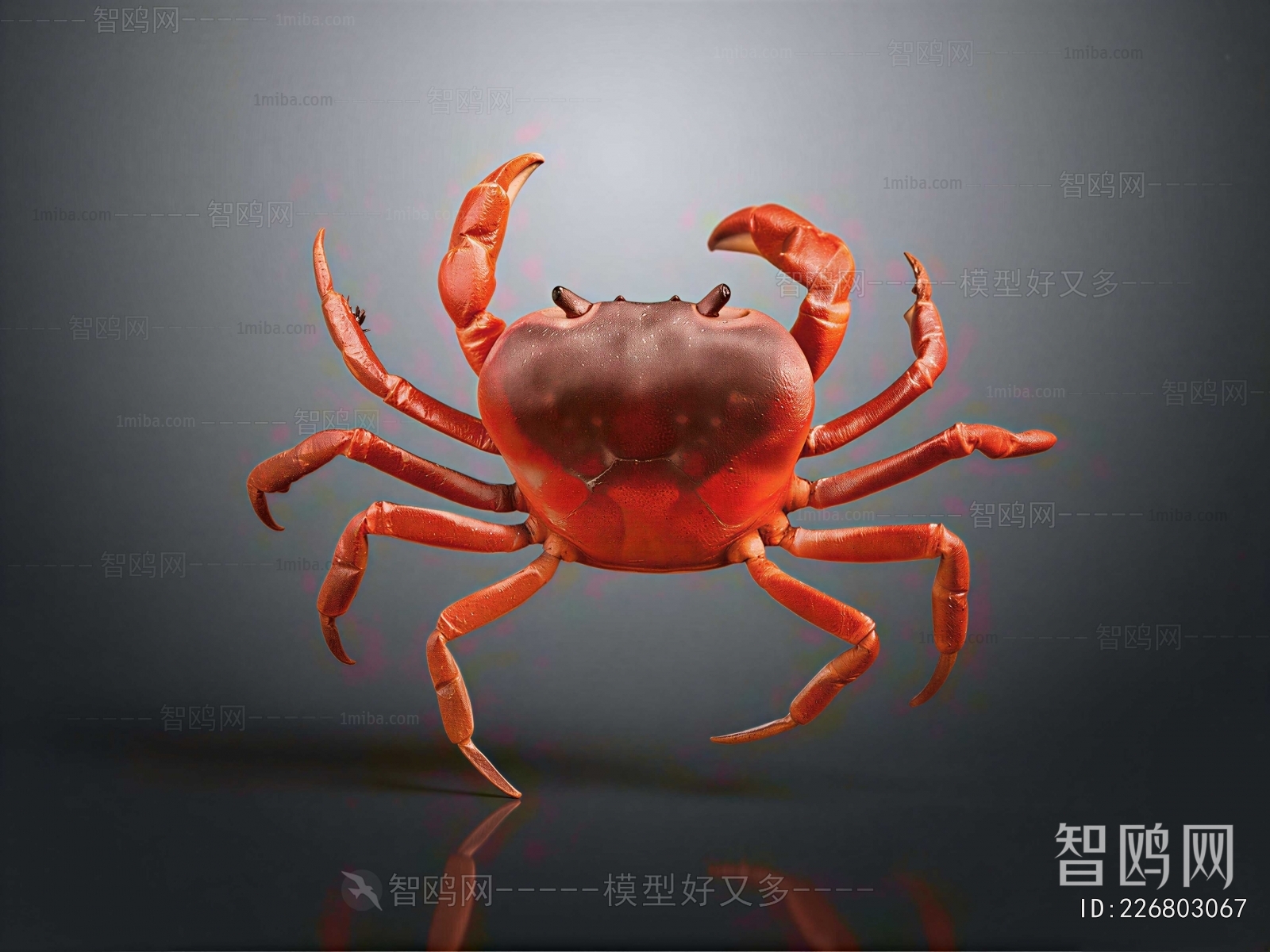 Modern Aquatic Animals