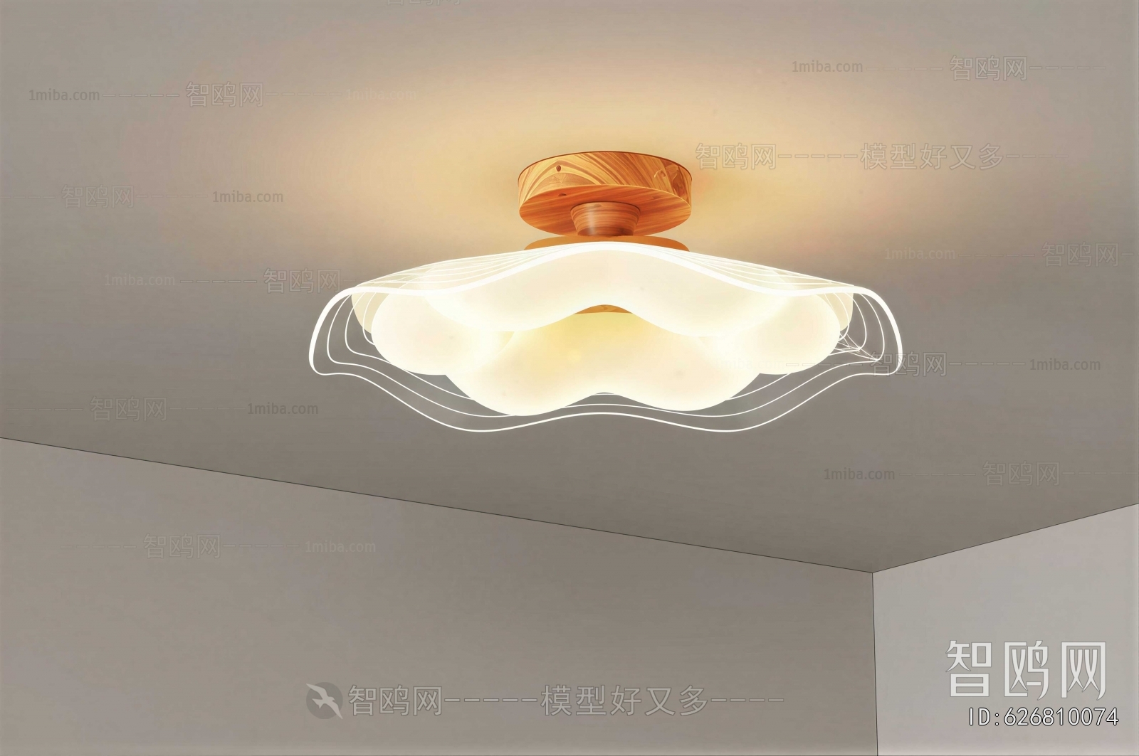 Modern Ceiling Ceiling Lamp