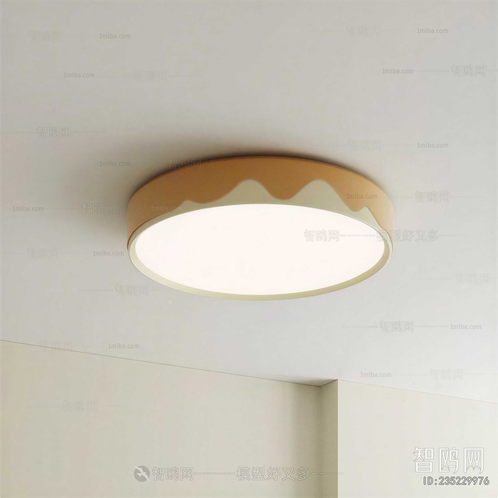 Modern Ceiling Ceiling Lamp