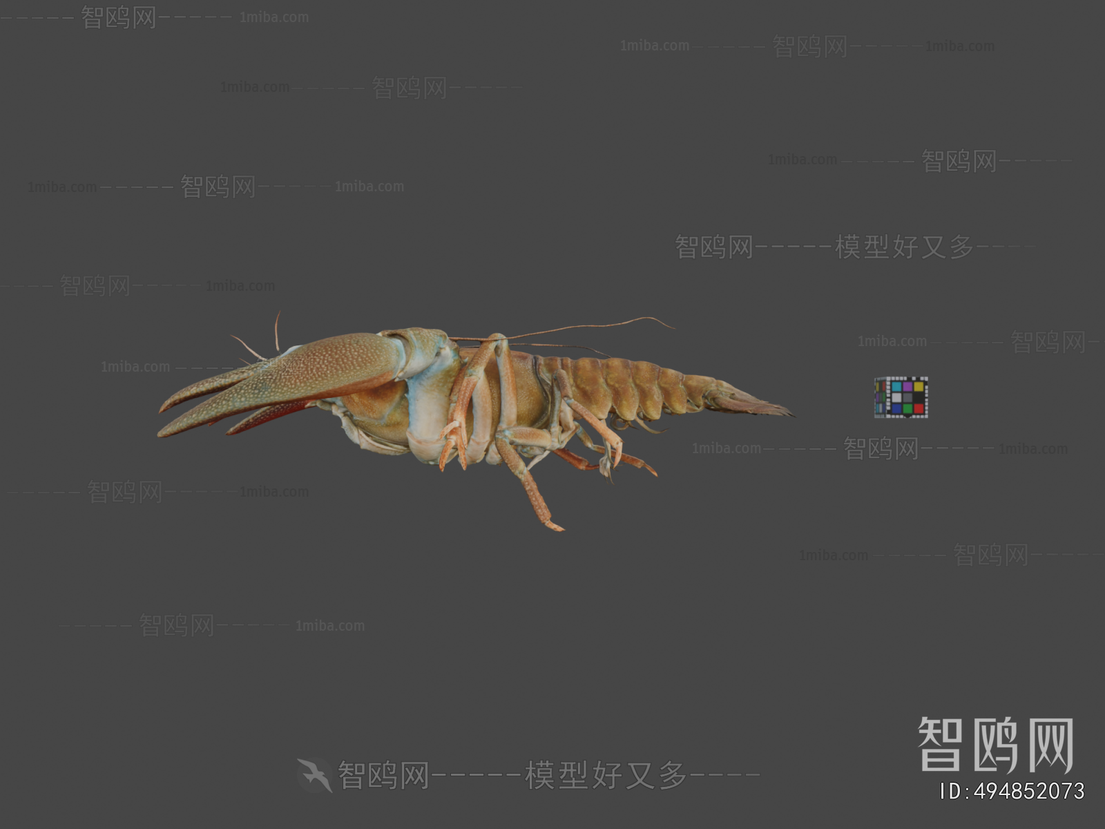 Modern Animal