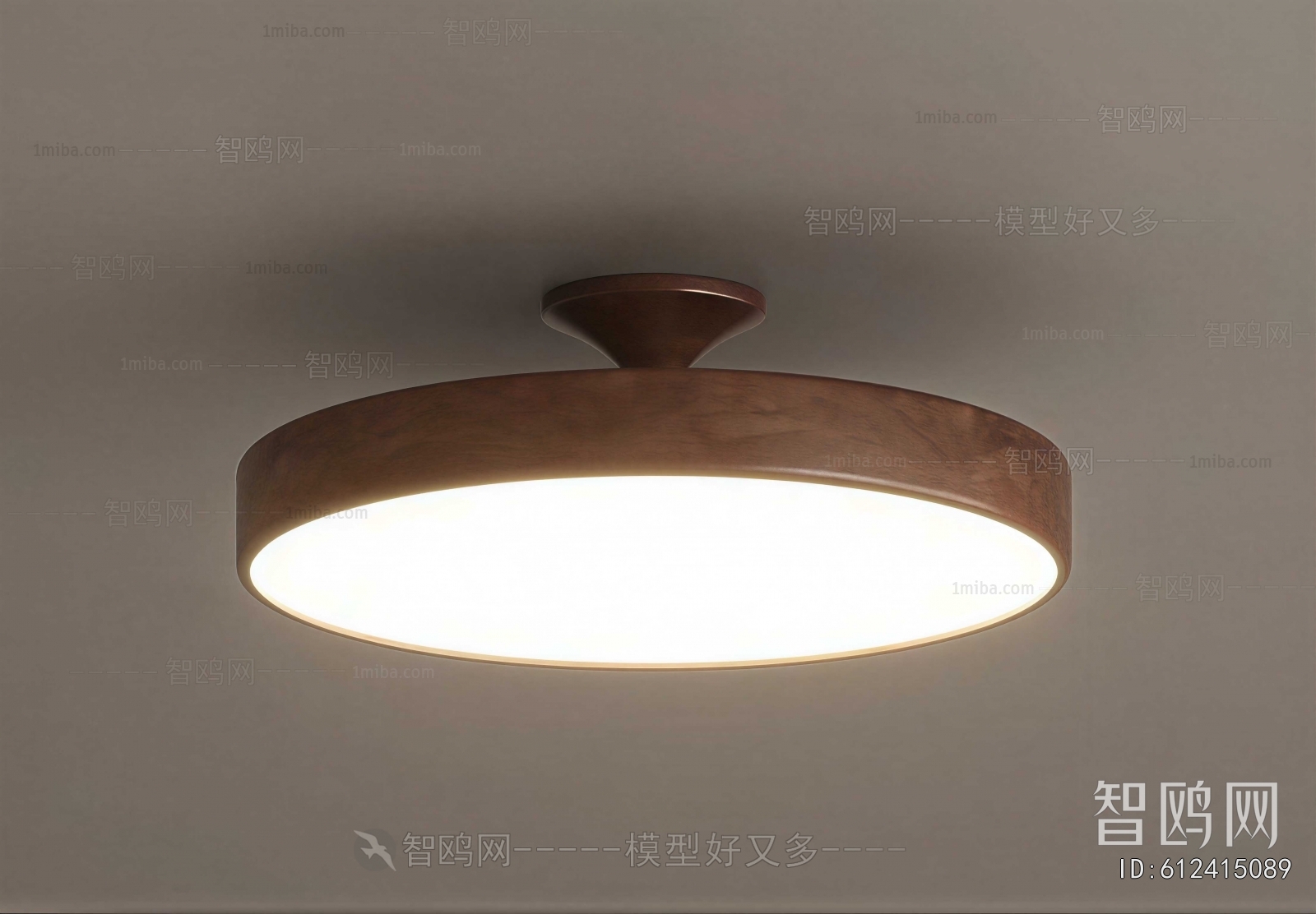 Modern Ceiling Ceiling Lamp