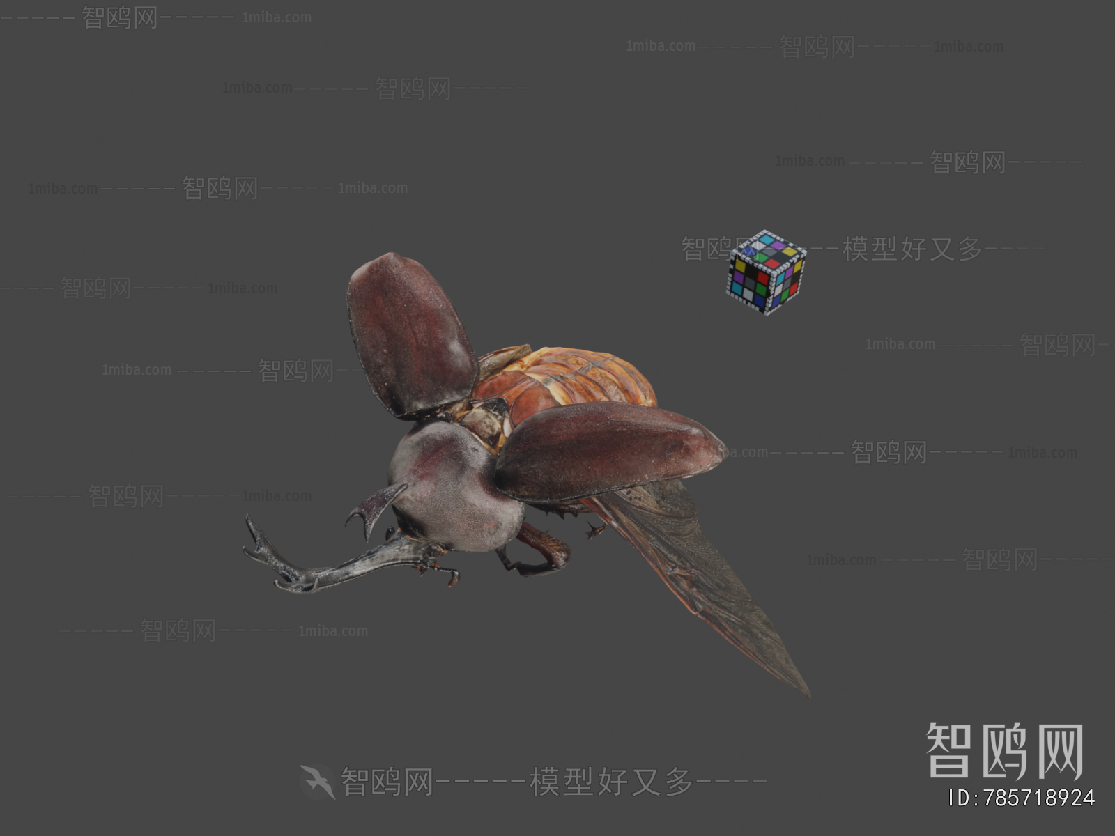 Modern Animal