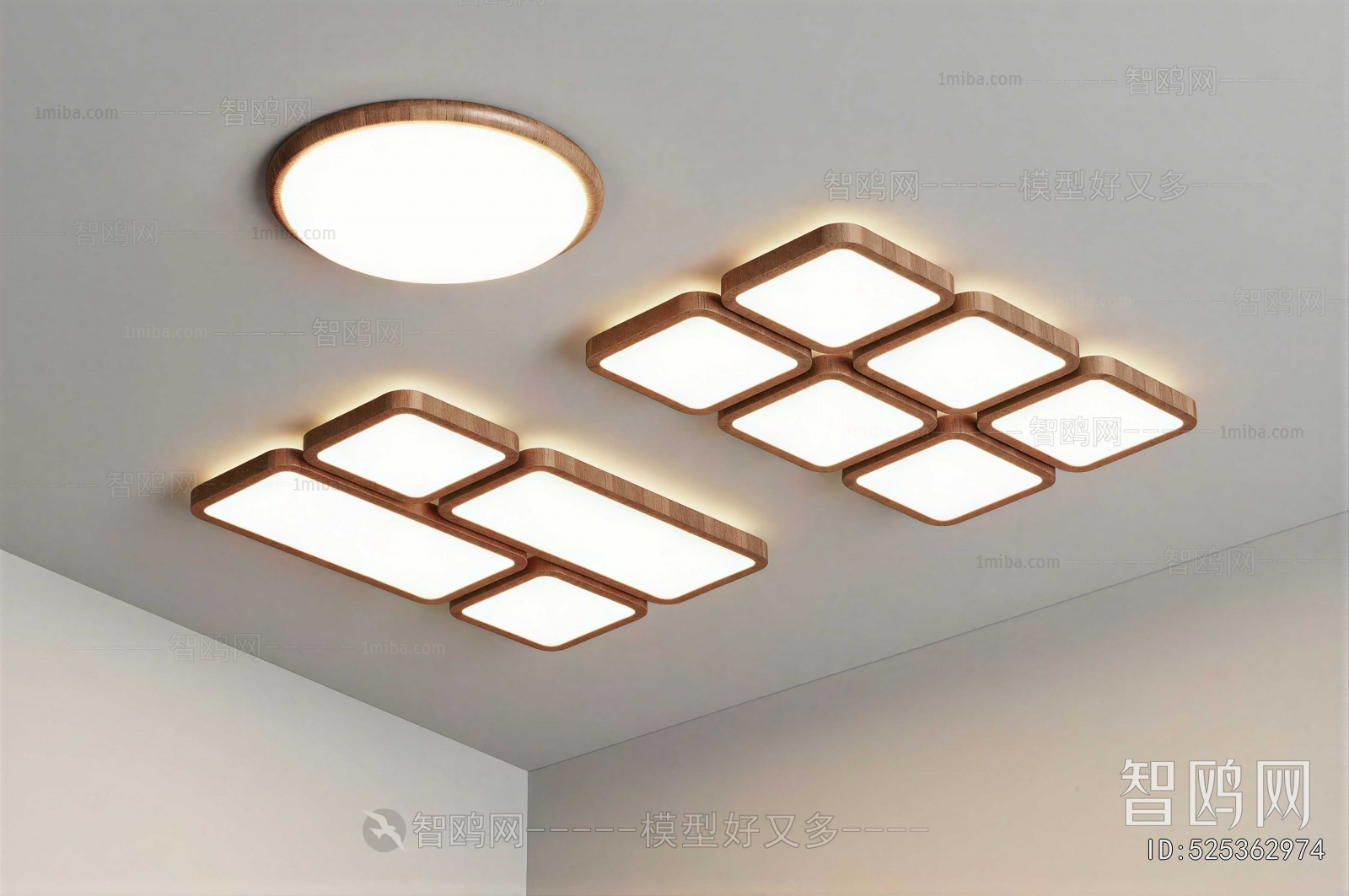 Modern Ceiling Ceiling Lamp