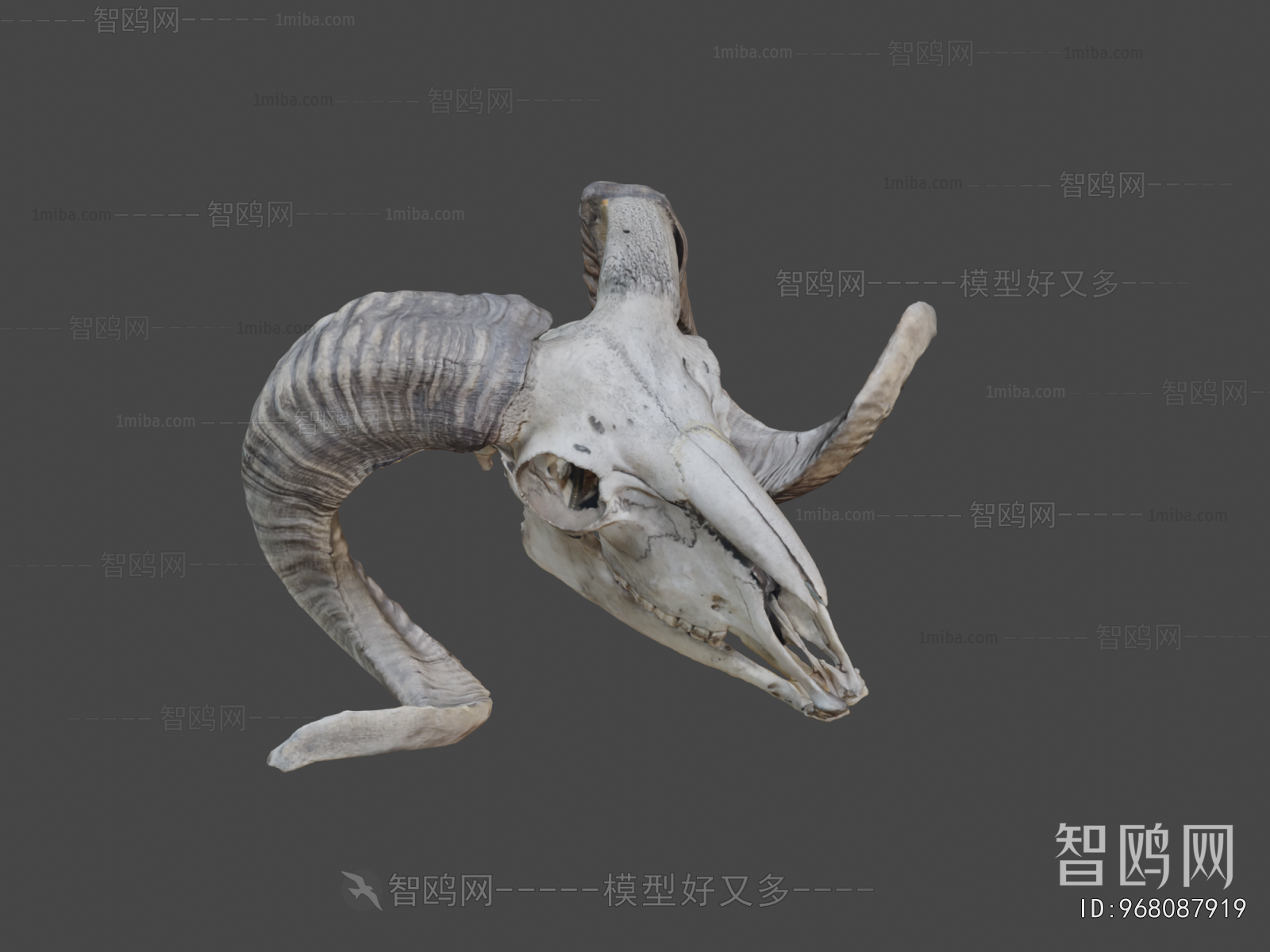 Modern Medical Equipment