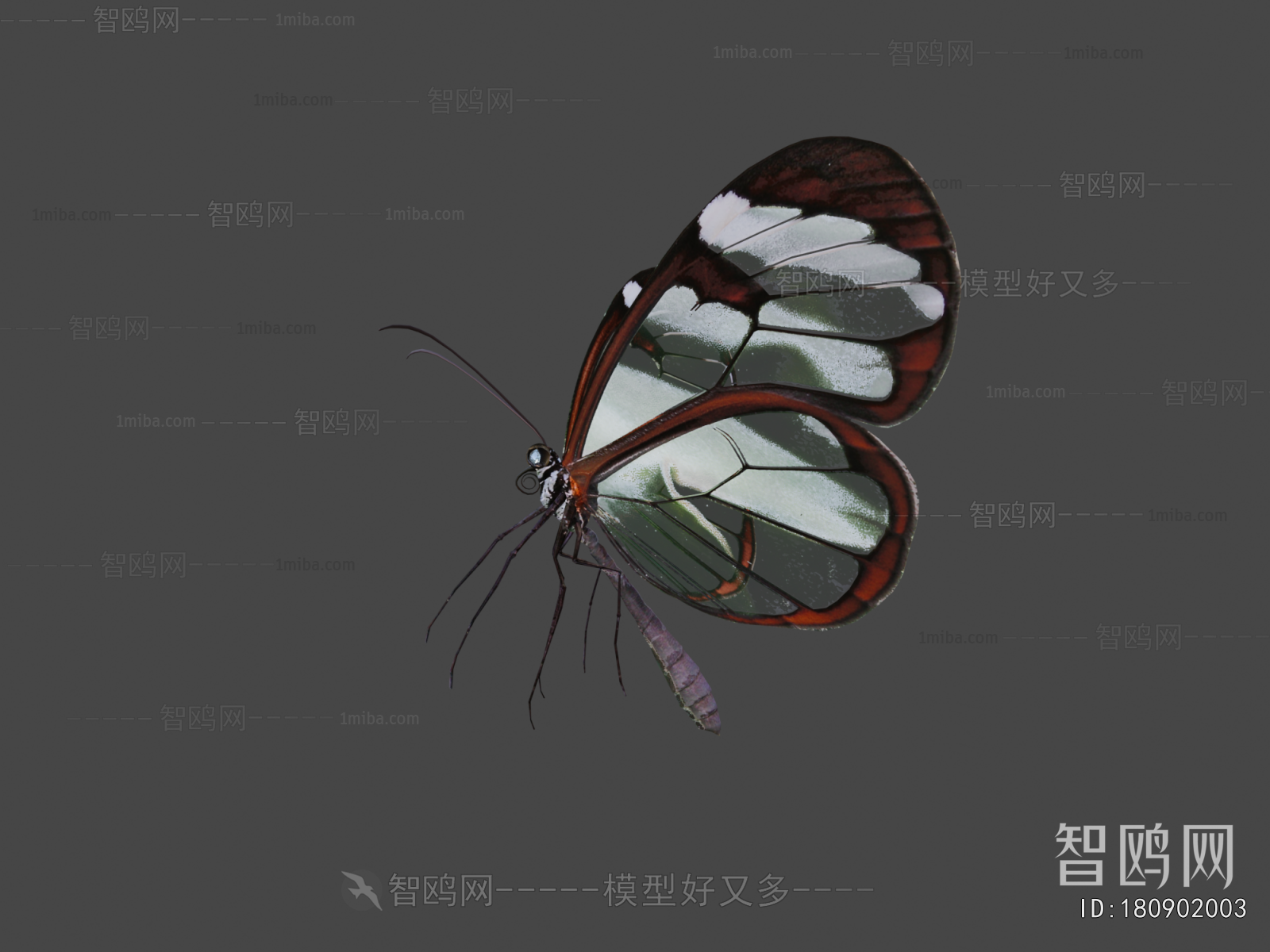 Modern Animal