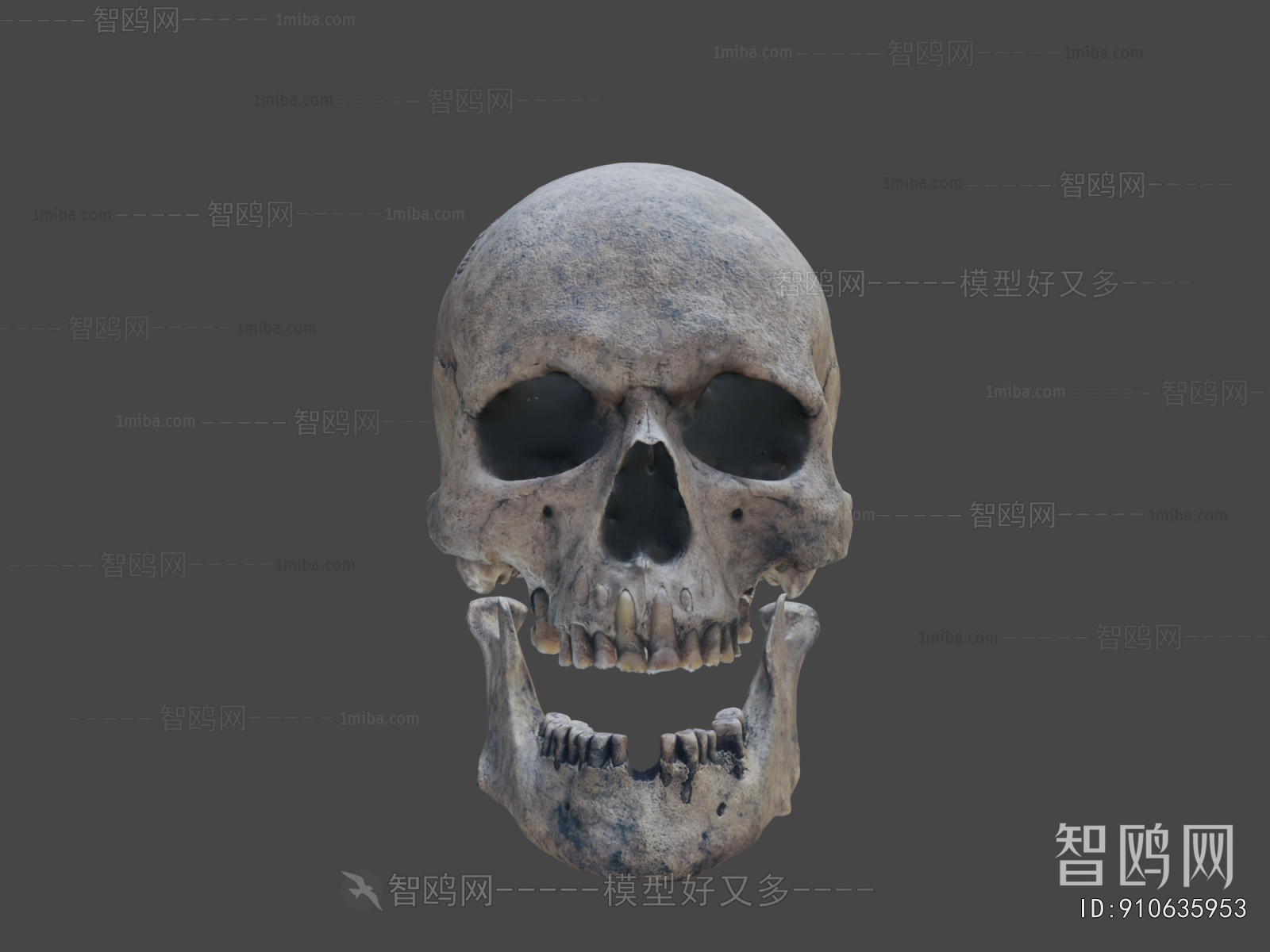 Modern Medical Equipment