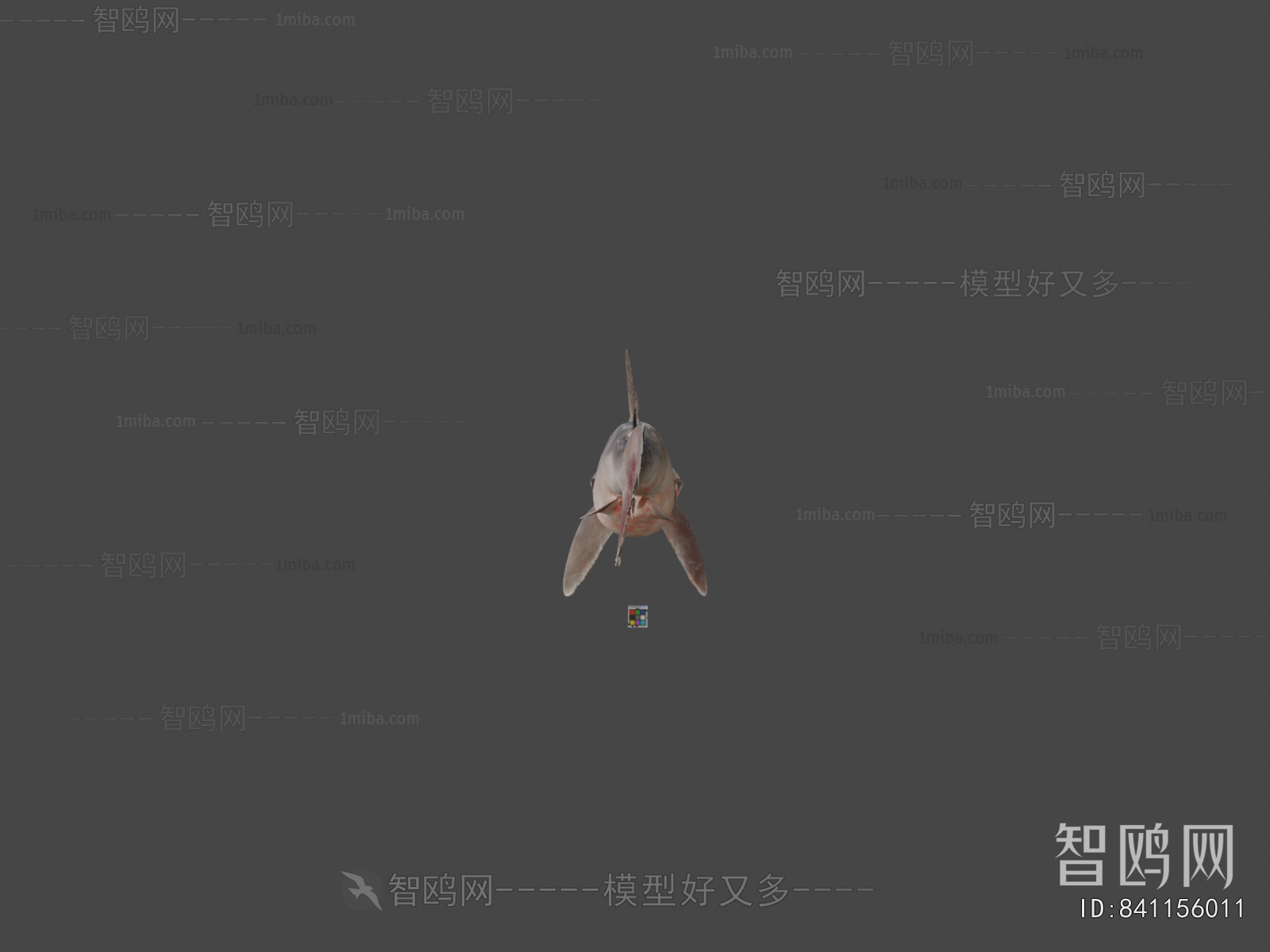Modern Animal