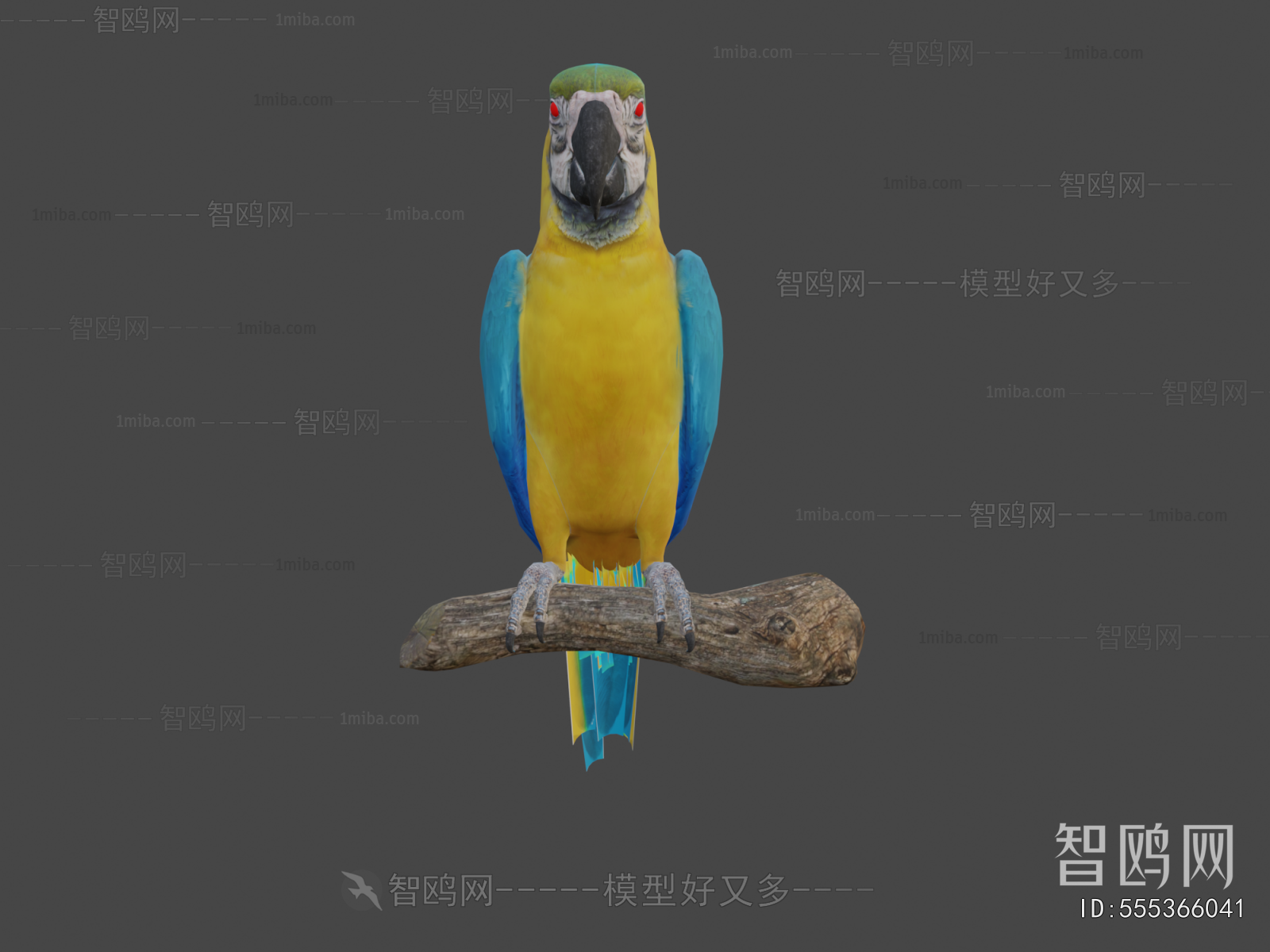 Modern Animal