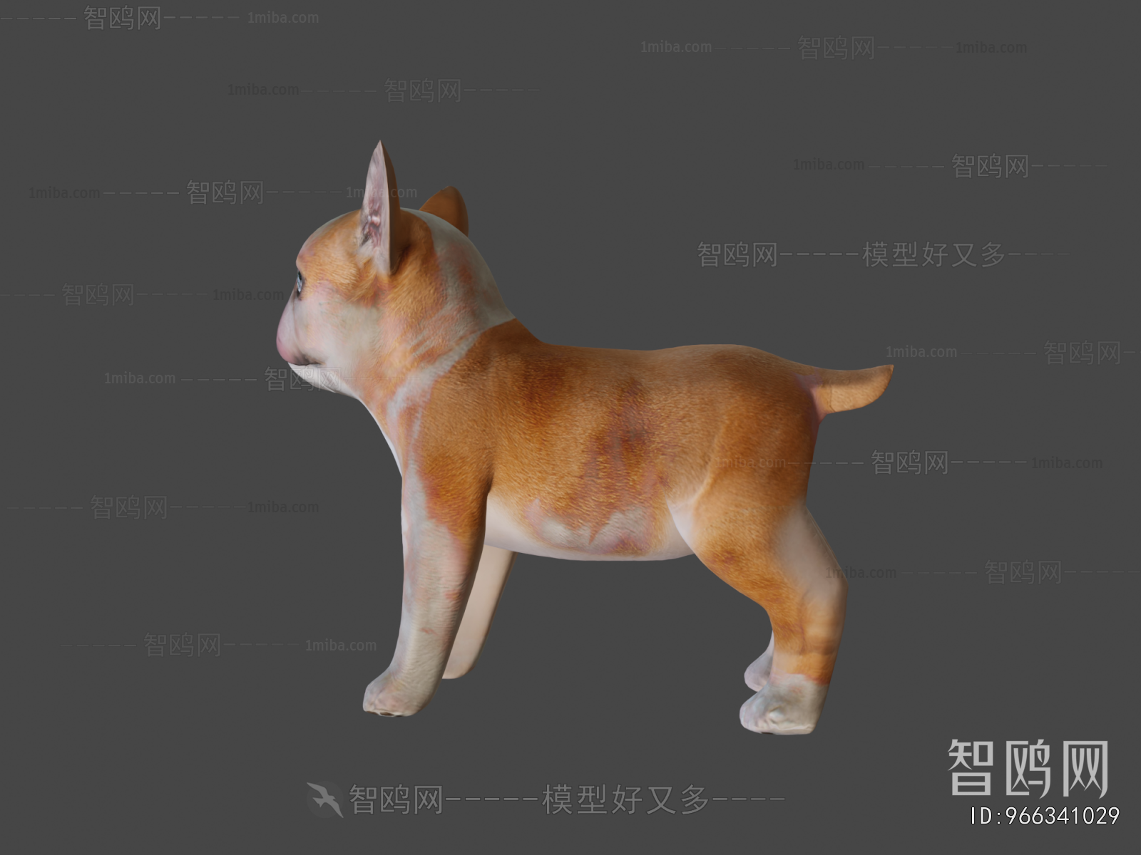 Modern Animal Dog