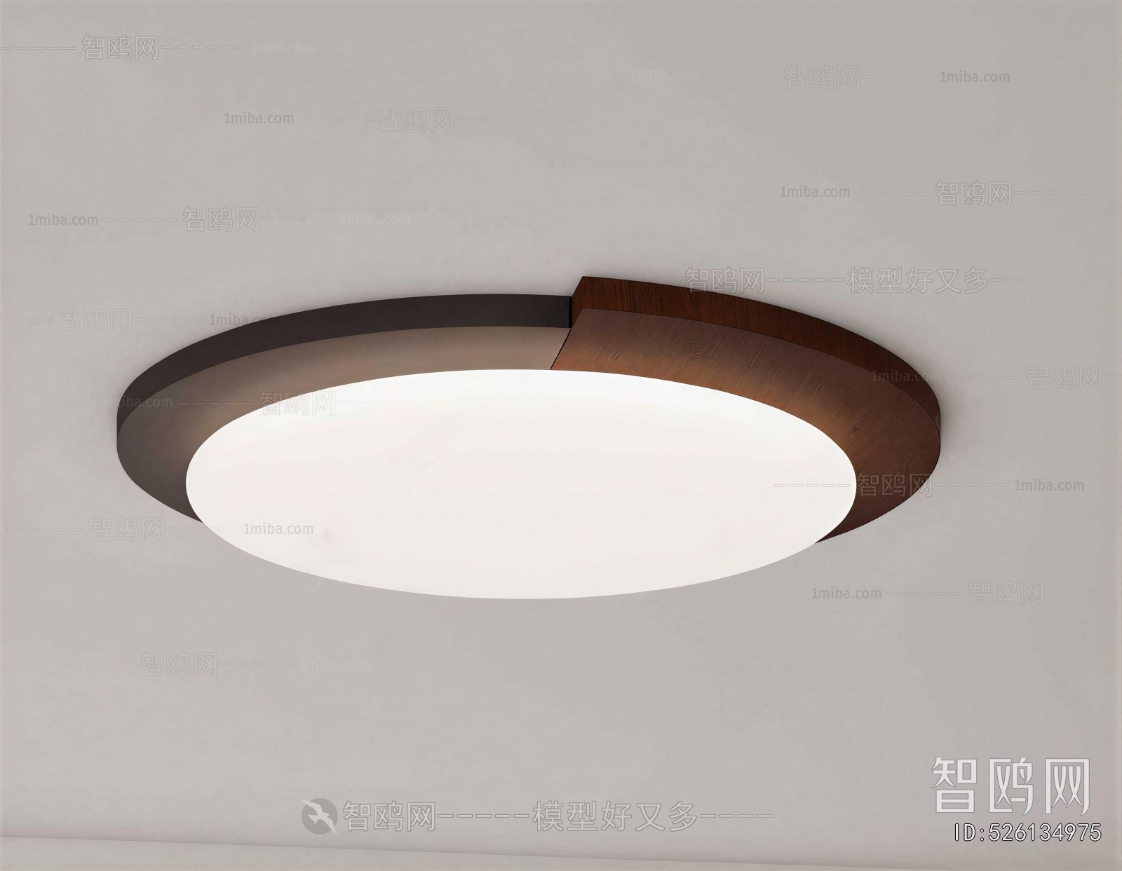 Modern Ceiling Ceiling Lamp