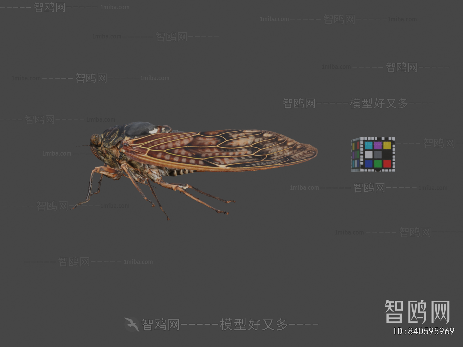Modern Reptile