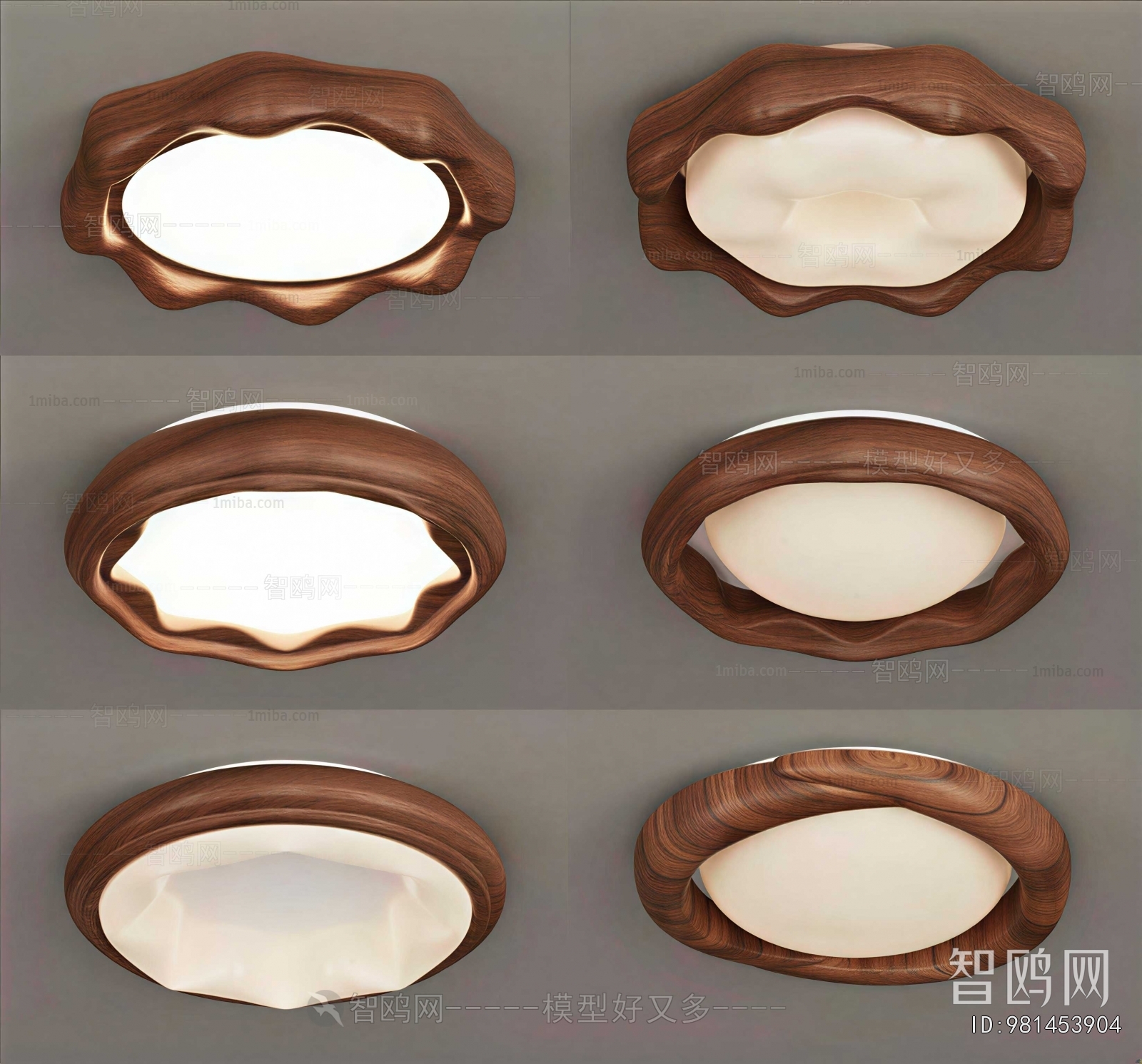 Modern Ceiling Ceiling Lamp