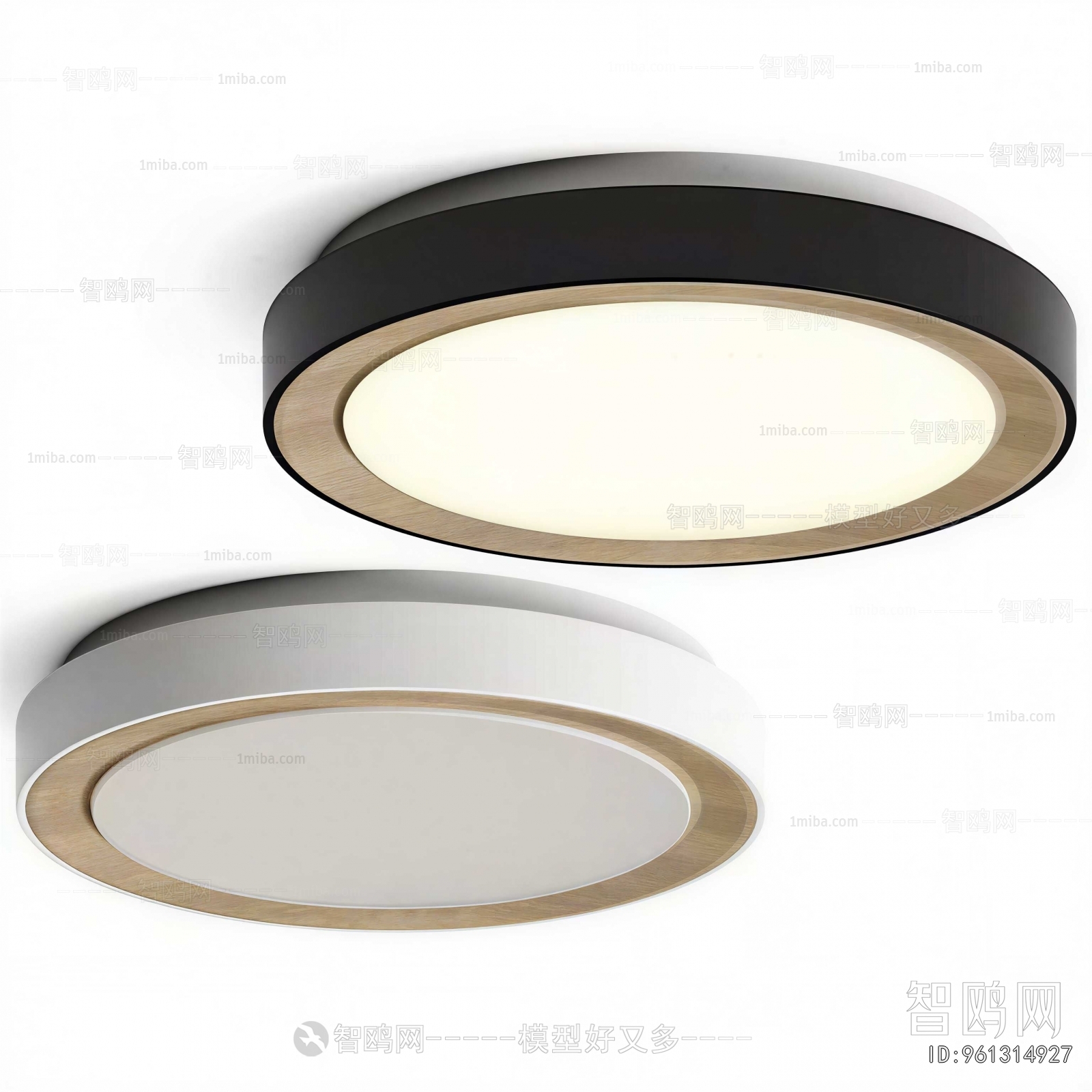 Modern Ceiling Ceiling Lamp