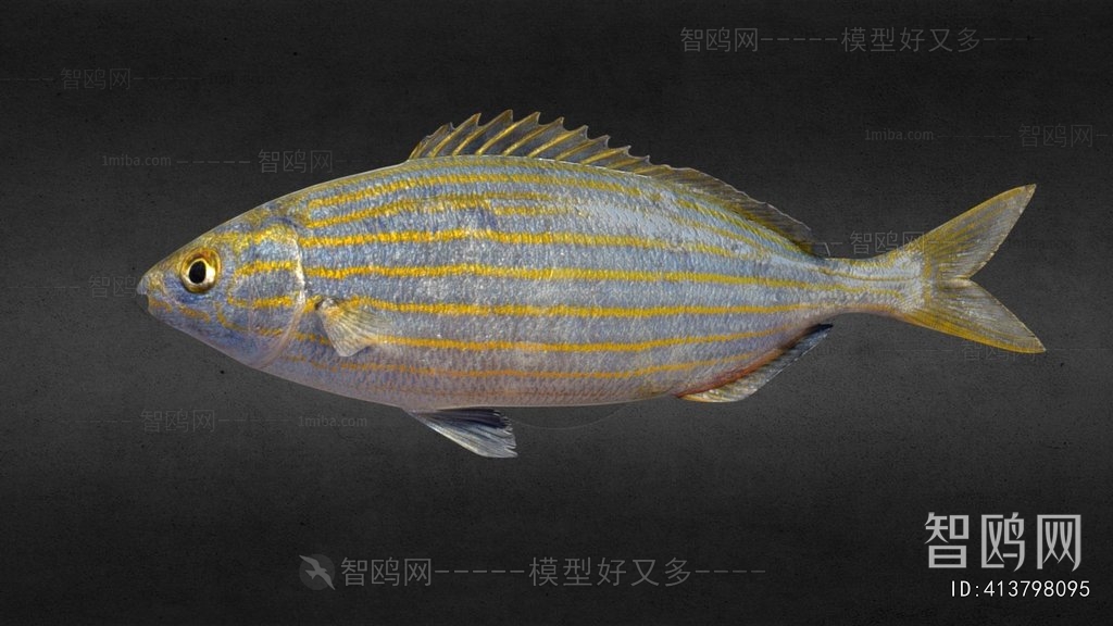 Modern Aquatic Animals