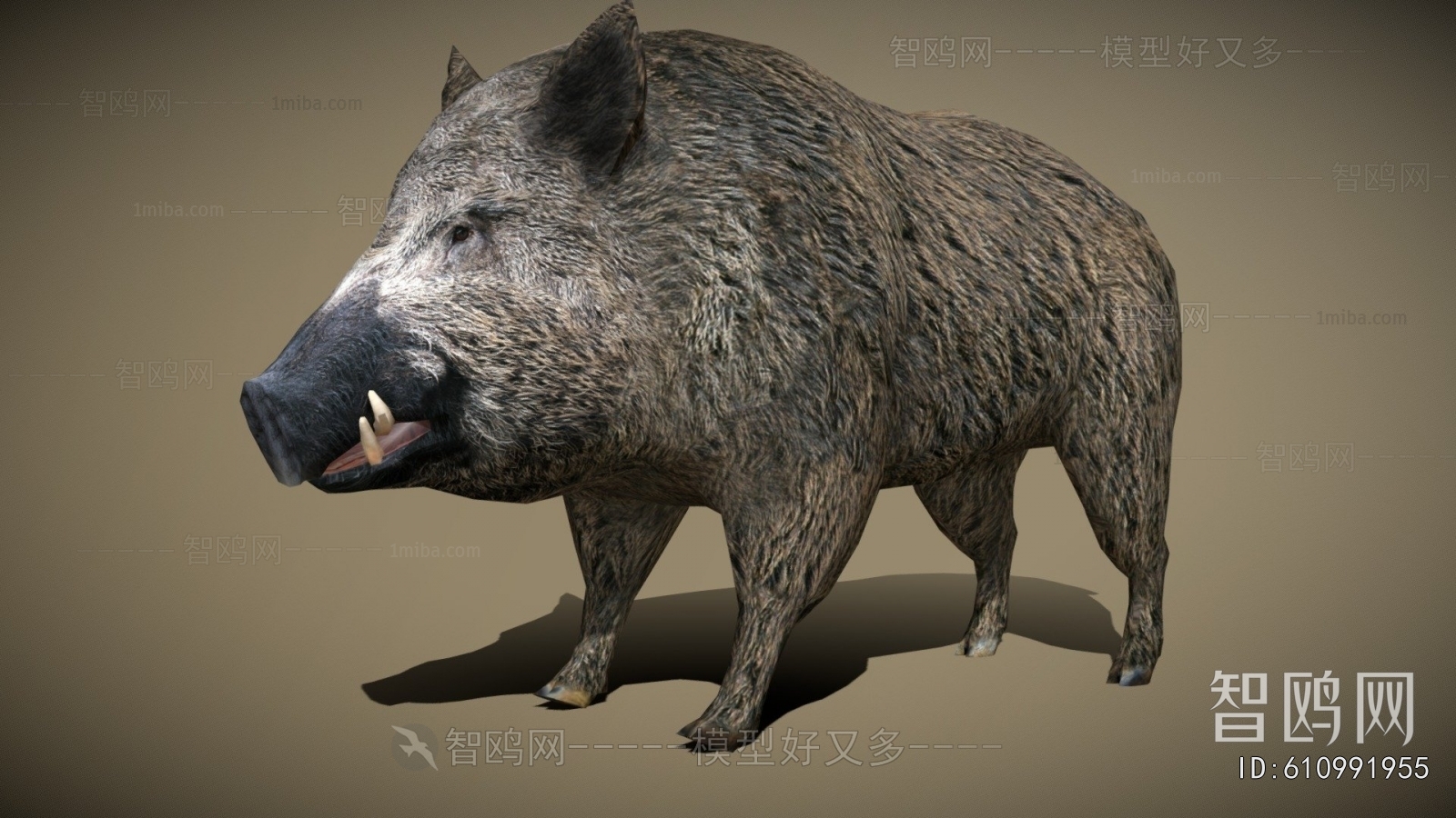 Modern Animal