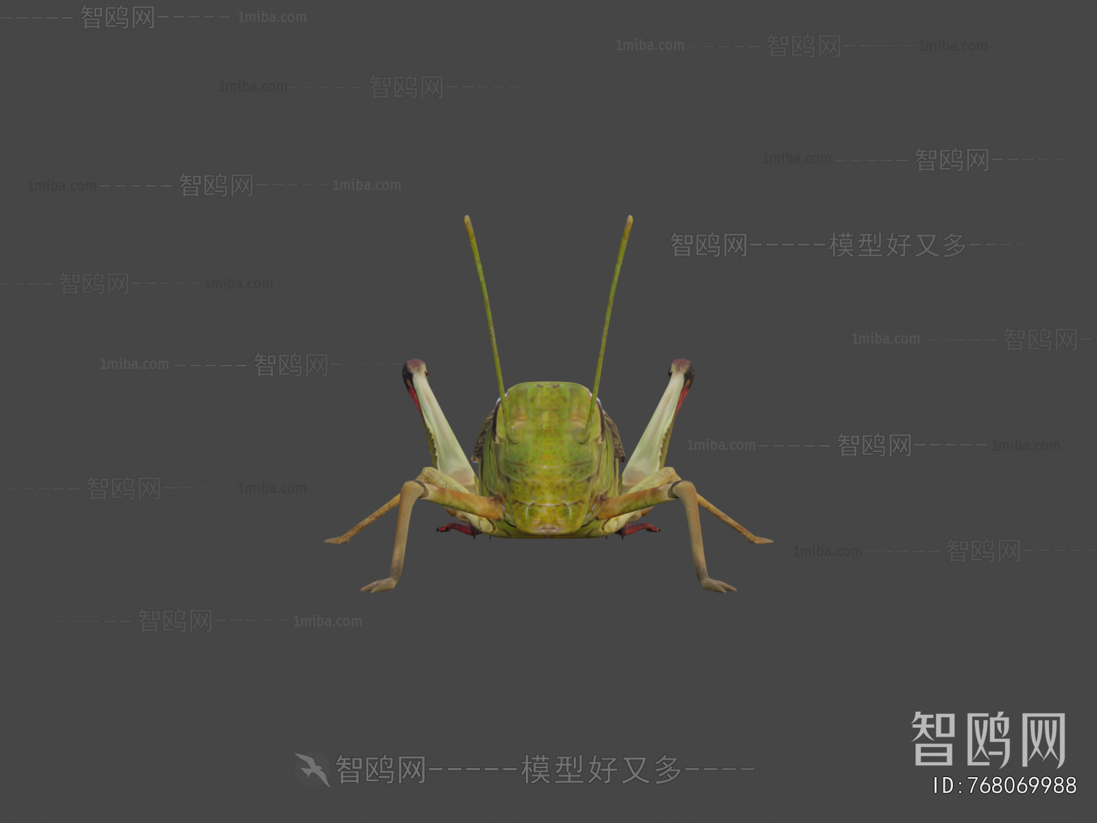 Modern Other Animals